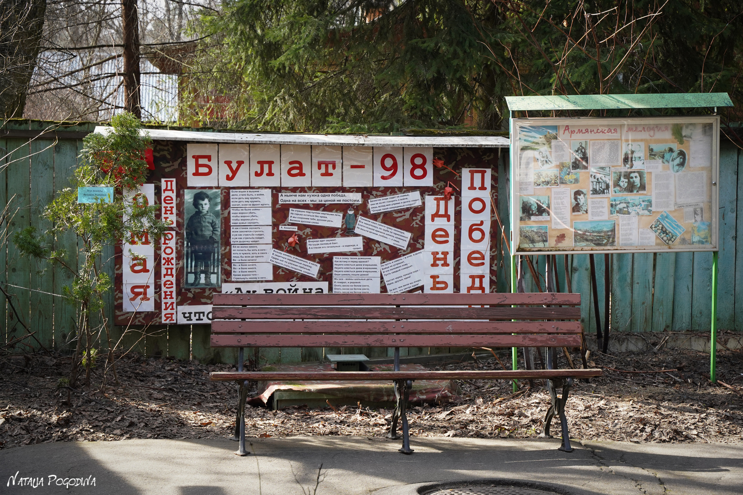 Фотопрогулка в Переделкино. Фотограф Наталья Погодина в г. Обнинске