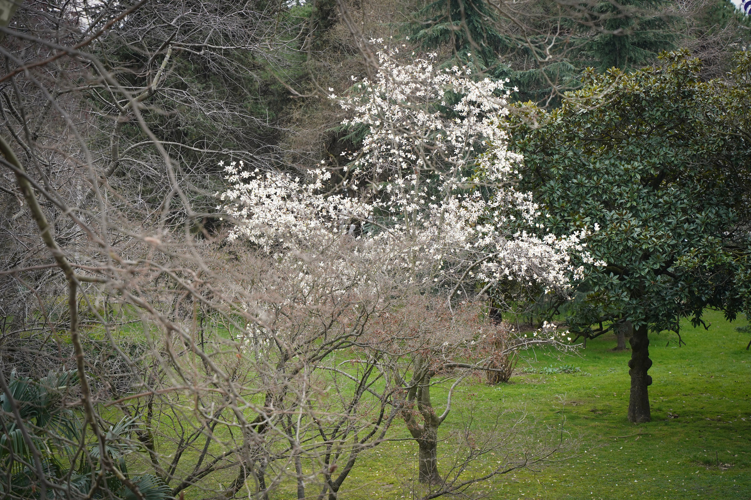 Фото Сочи 2023. Фотограф Наталья Погодина в г. Обнинске