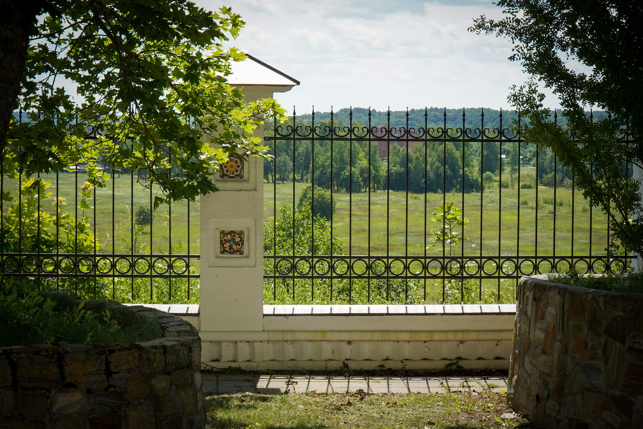 ВЕРЕЯ. Июль 2023. Фотограф Наталья Погодина в г. Обнинске