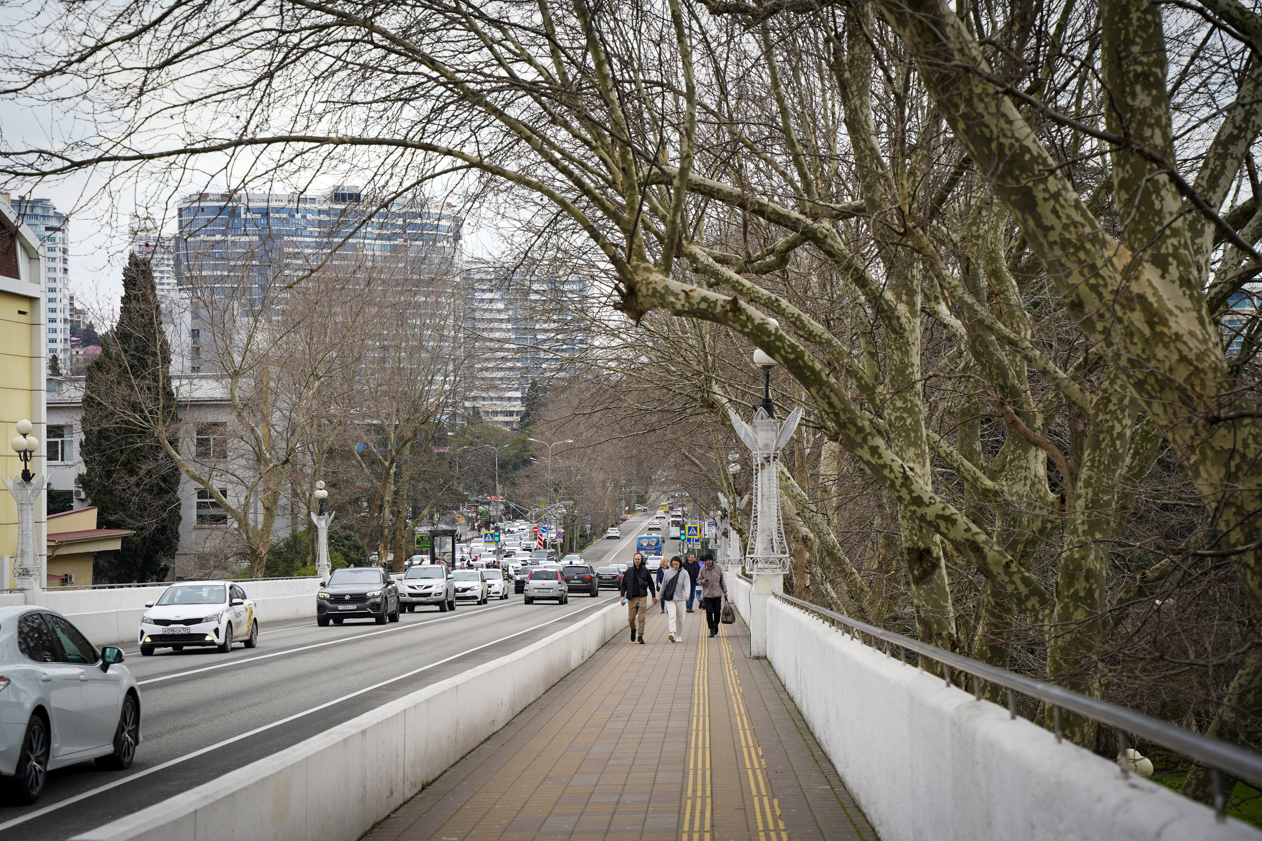 Фото Сочи 2023. Фотограф Наталья Погодина в г. Обнинске