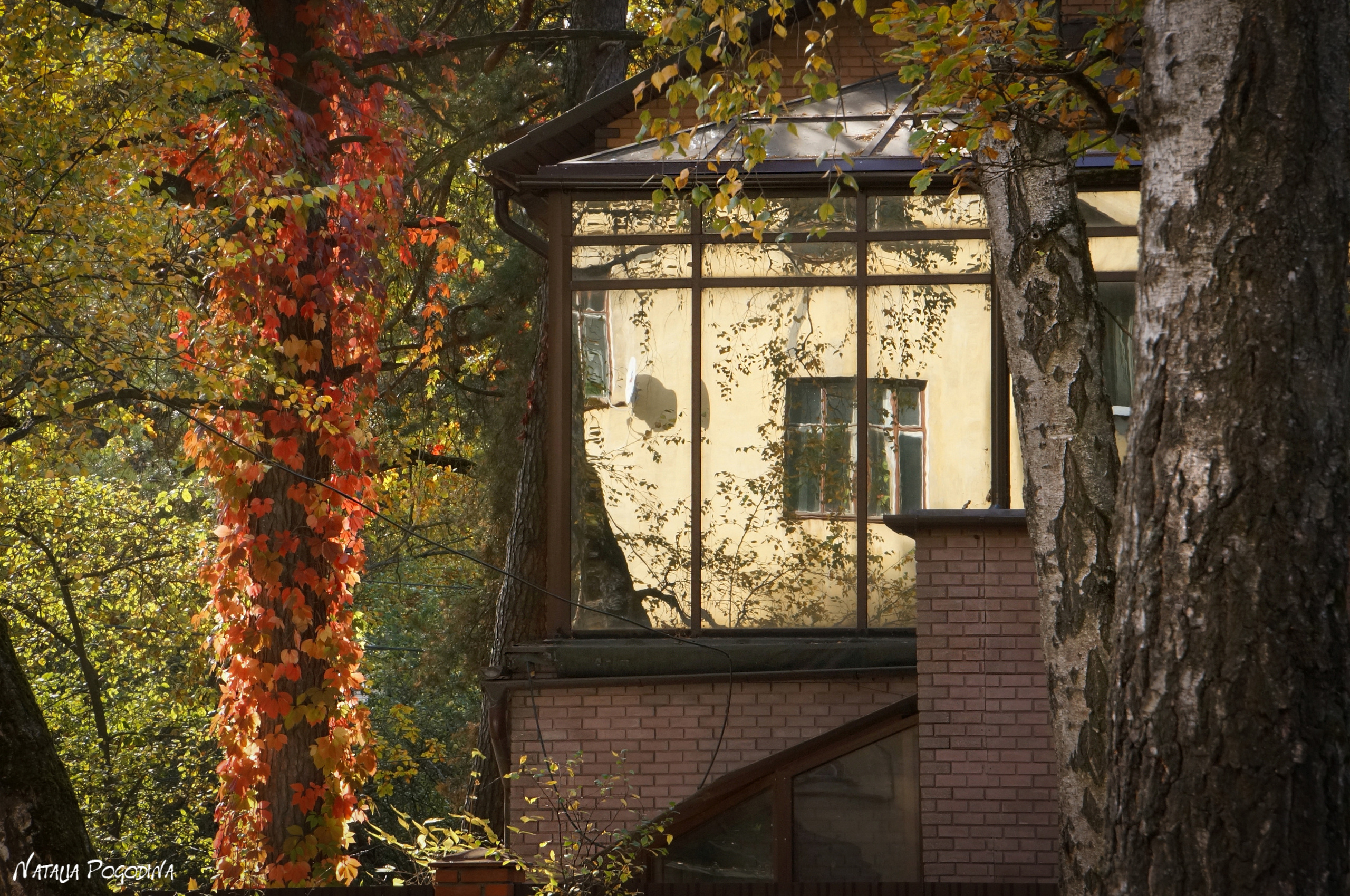 ОБНИНСК. Фотограф Наталья Погодина в г. Обнинске