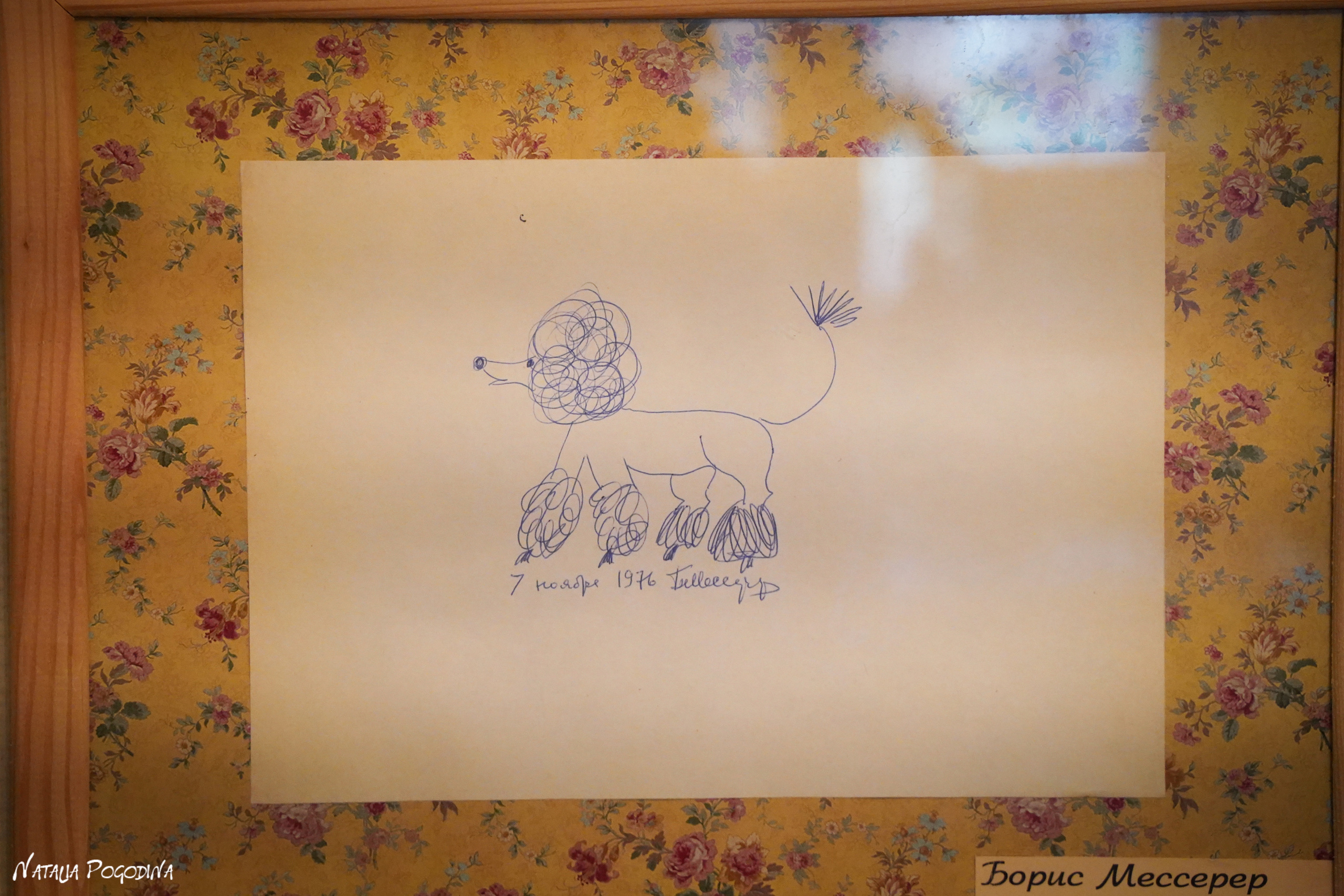 Фотопрогулка в Переделкино. Фотограф Наталья Погодина в г. Обнинске