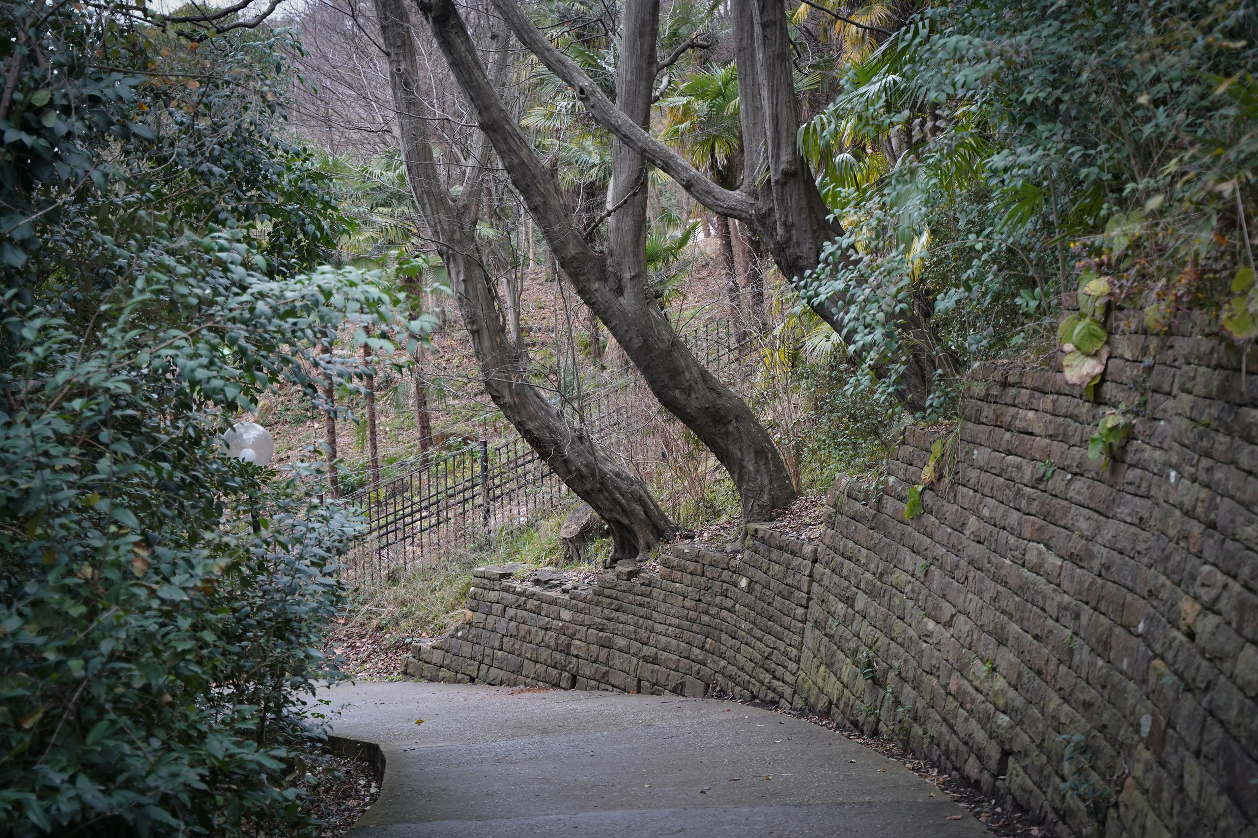 Фото Сочи 2023. Фотограф Наталья Погодина в г. Обнинске