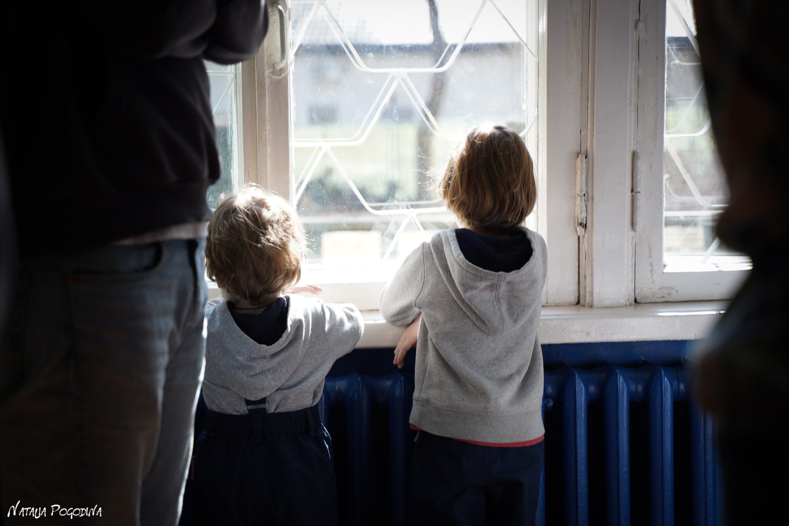 Фотопрогулка в Переделкино. Фотограф Наталья Погодина в г. Обнинске