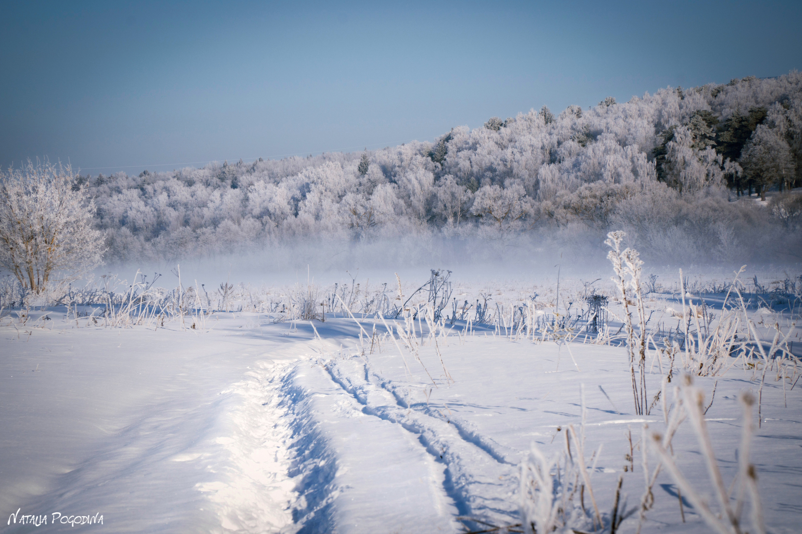 ОБНИНСК. Фотограф Наталья Погодина в г. Обнинске