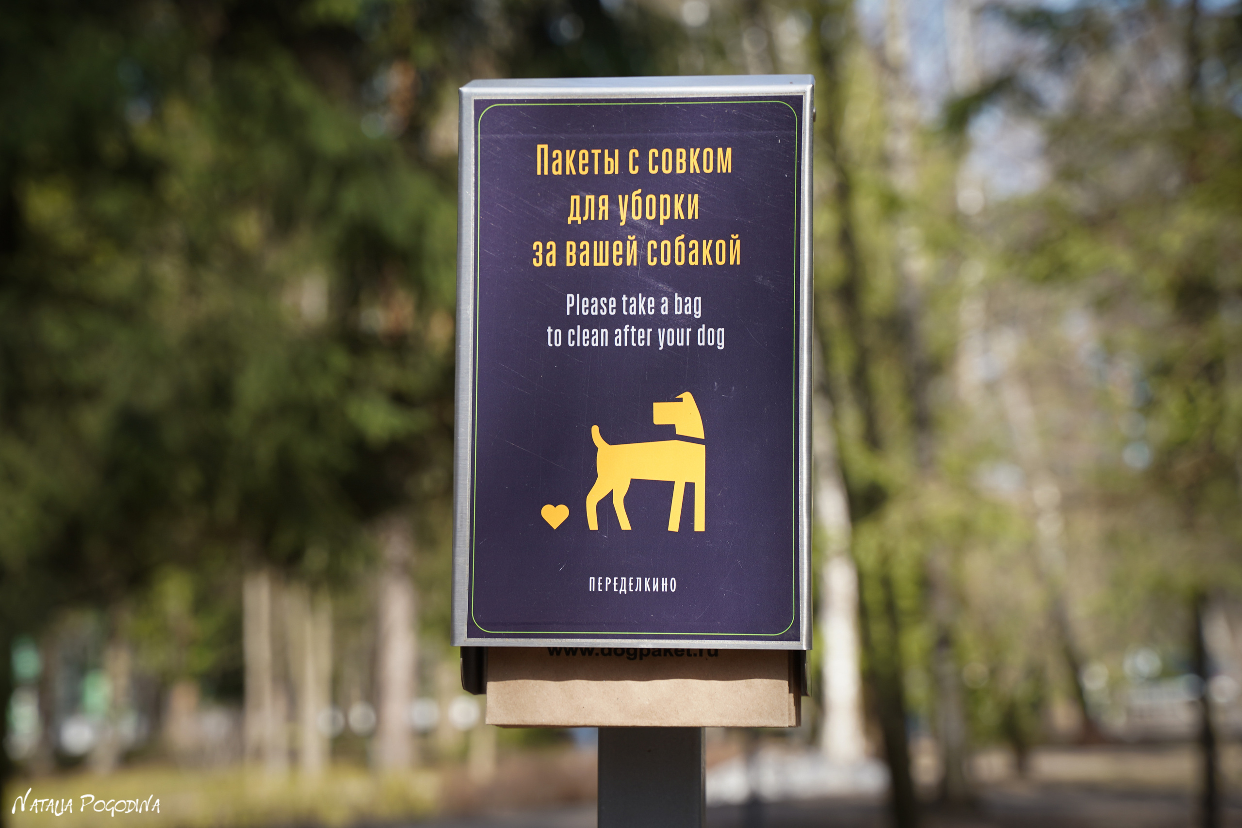 Фотопрогулка в Переделкино. Фотограф Наталья Погодина в г. Обнинске