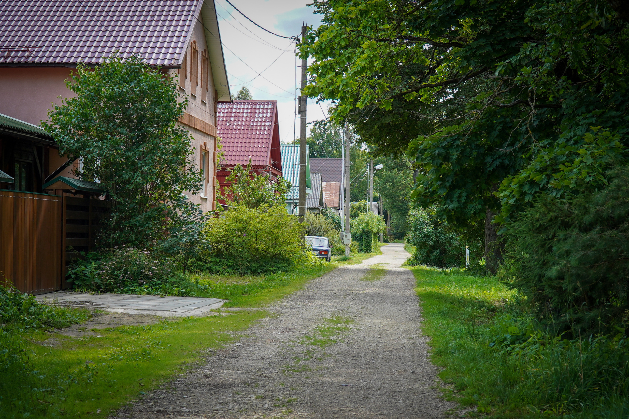 ВЕРЕЯ. Июль 2023. Фотограф Наталья Погодина в г. Обнинске