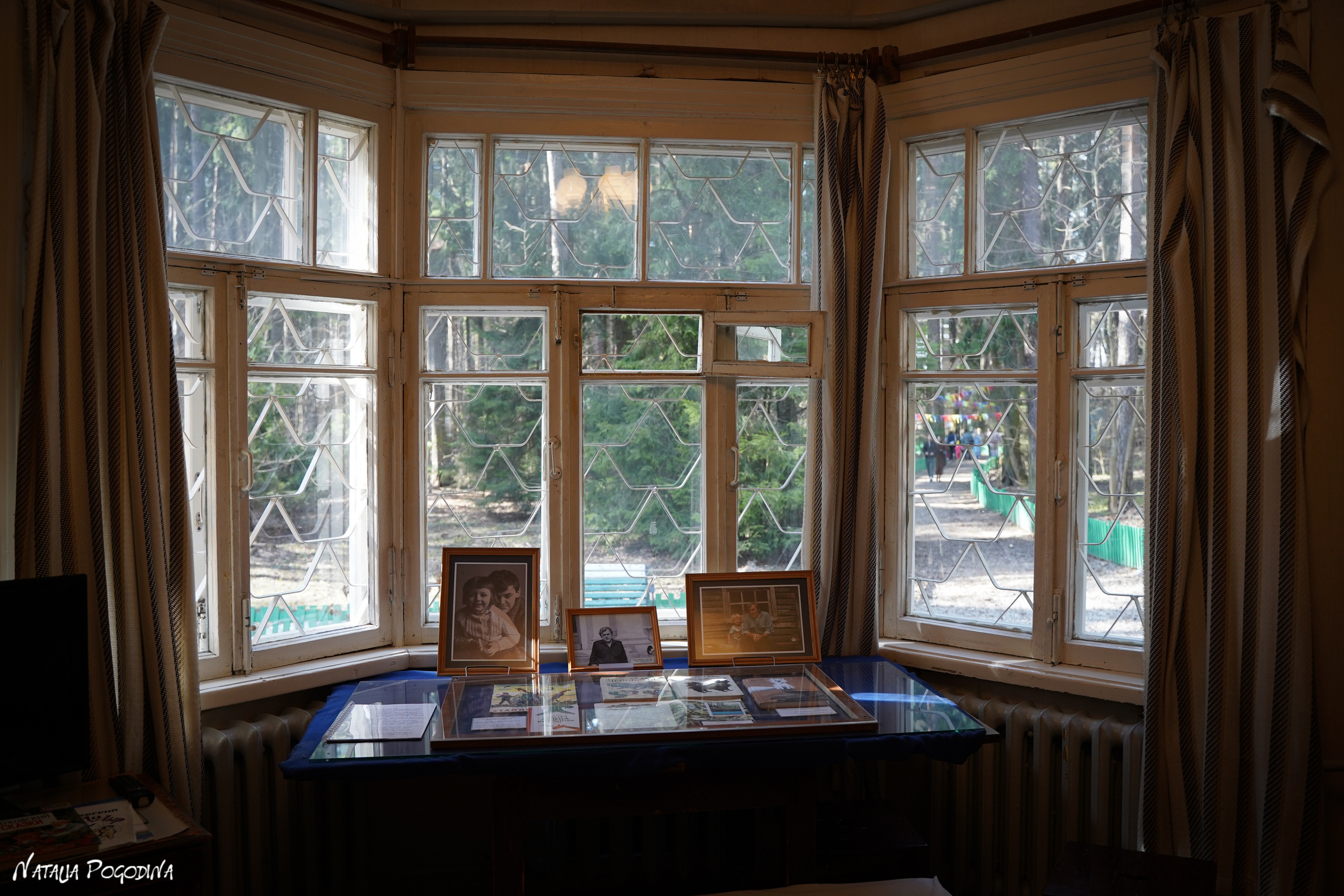 Фотопрогулка в Переделкино. Фотограф Наталья Погодина в г. Обнинске