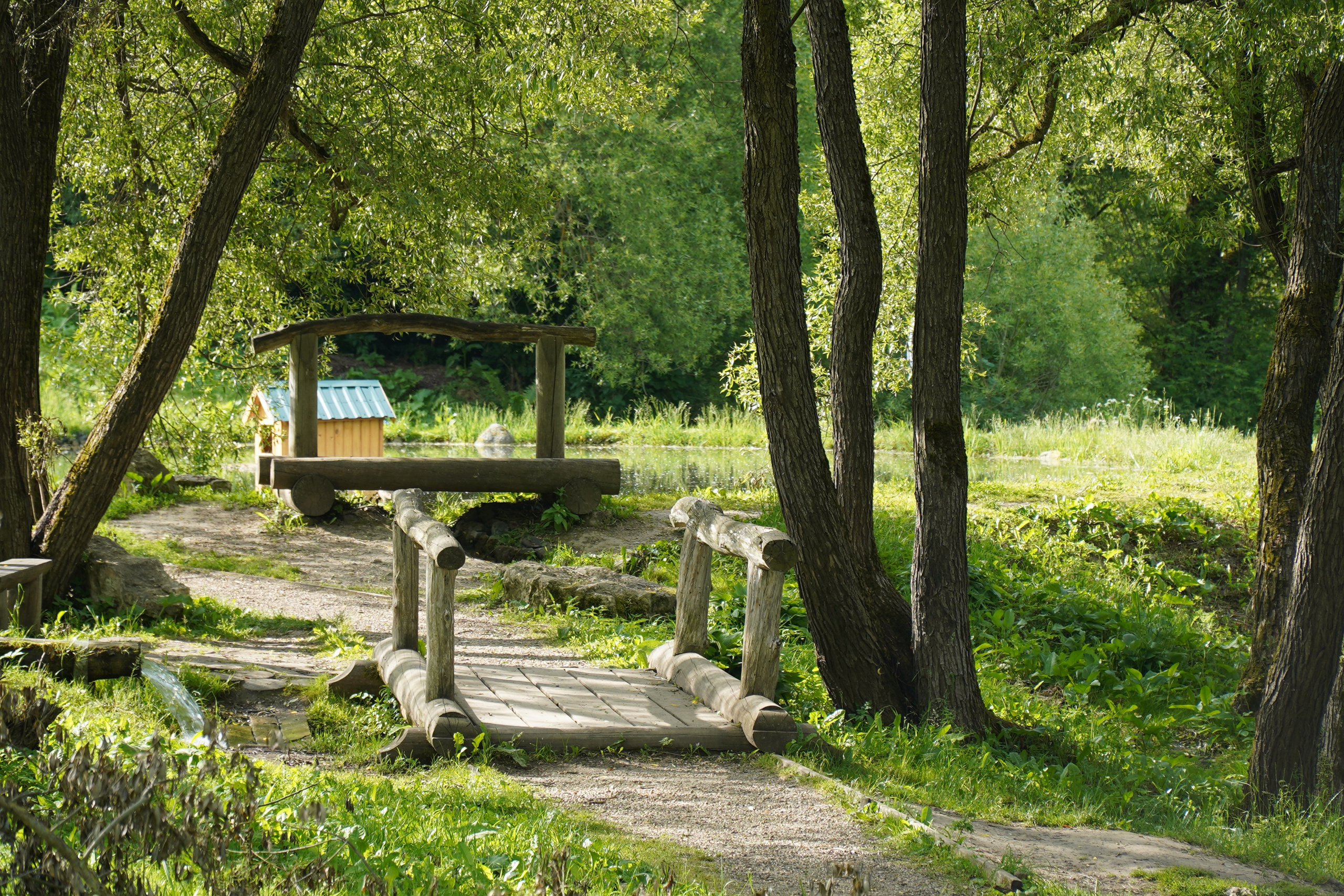 РУСИНОВО. Фотограф Наталья Погодина в г. Обнинске