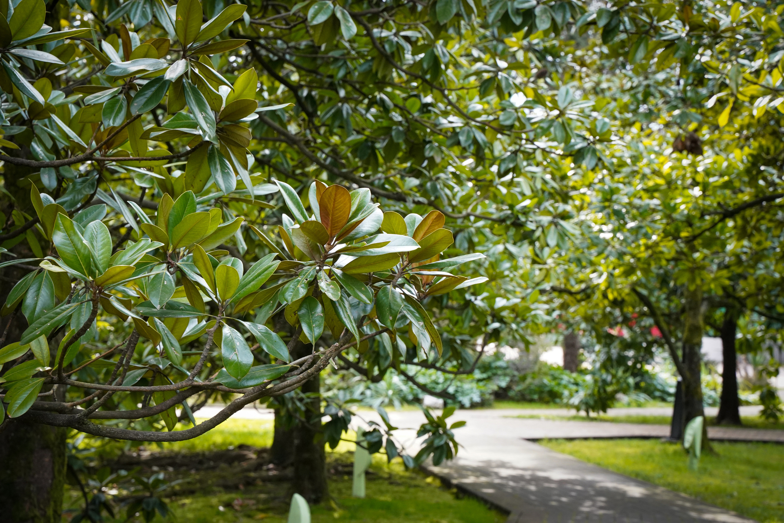 Фото Сочи 2023. Фотограф Наталья Погодина в г. Обнинске