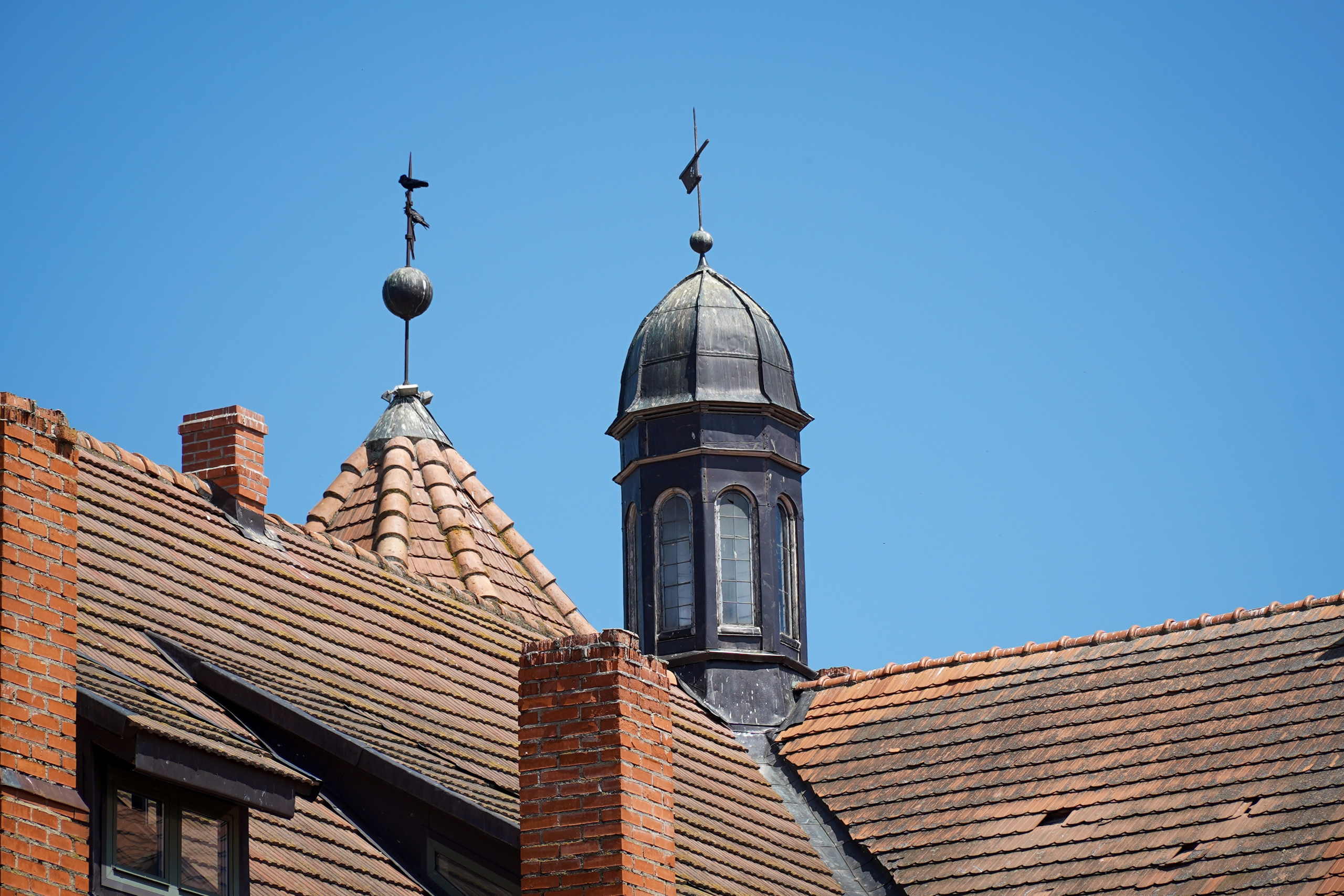 Беларусь. Июнь 2023. Поездка на 3 дня. Фотограф Наталья Погодина в г. Обнинске