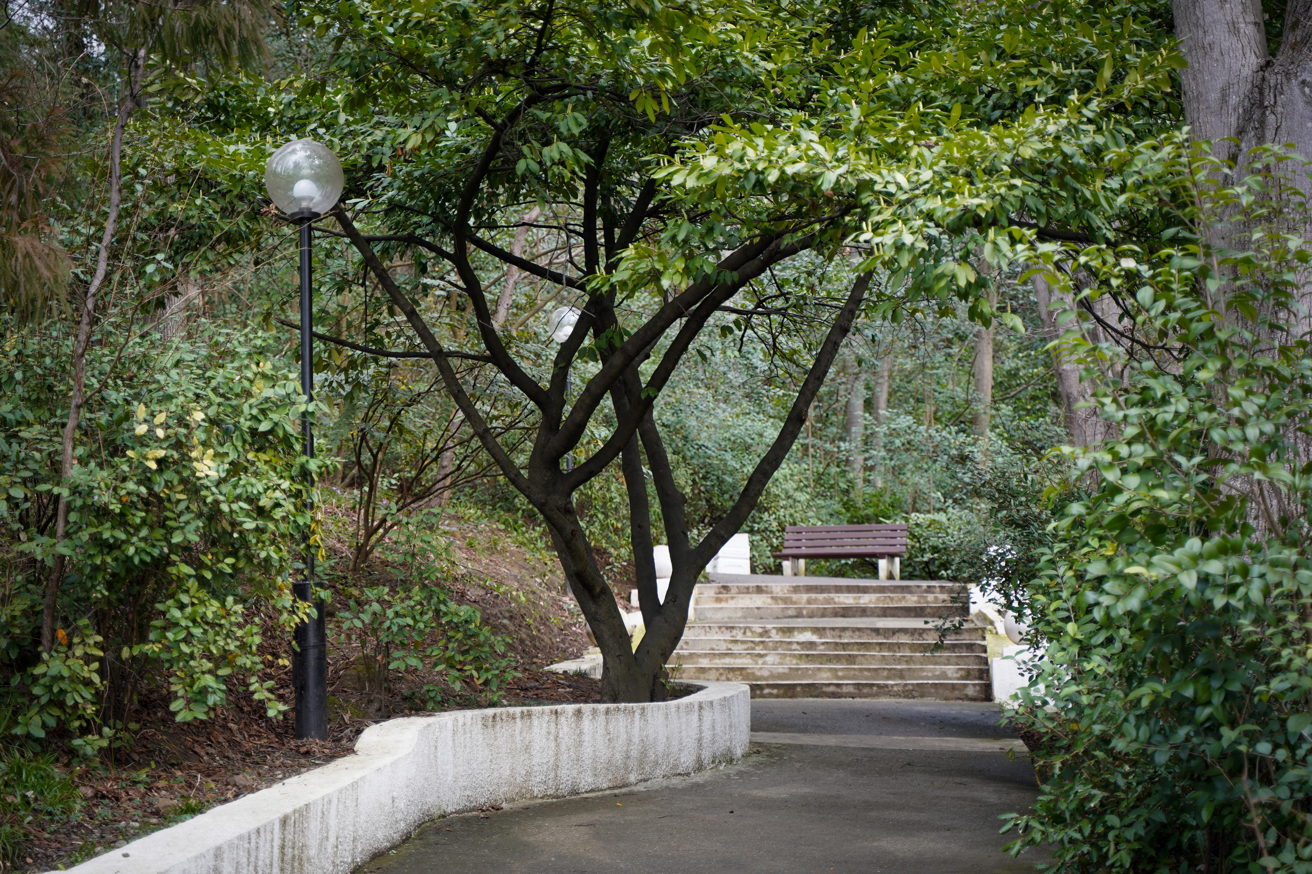 Фото Сочи 2023. Фотограф Наталья Погодина в г. Обнинске