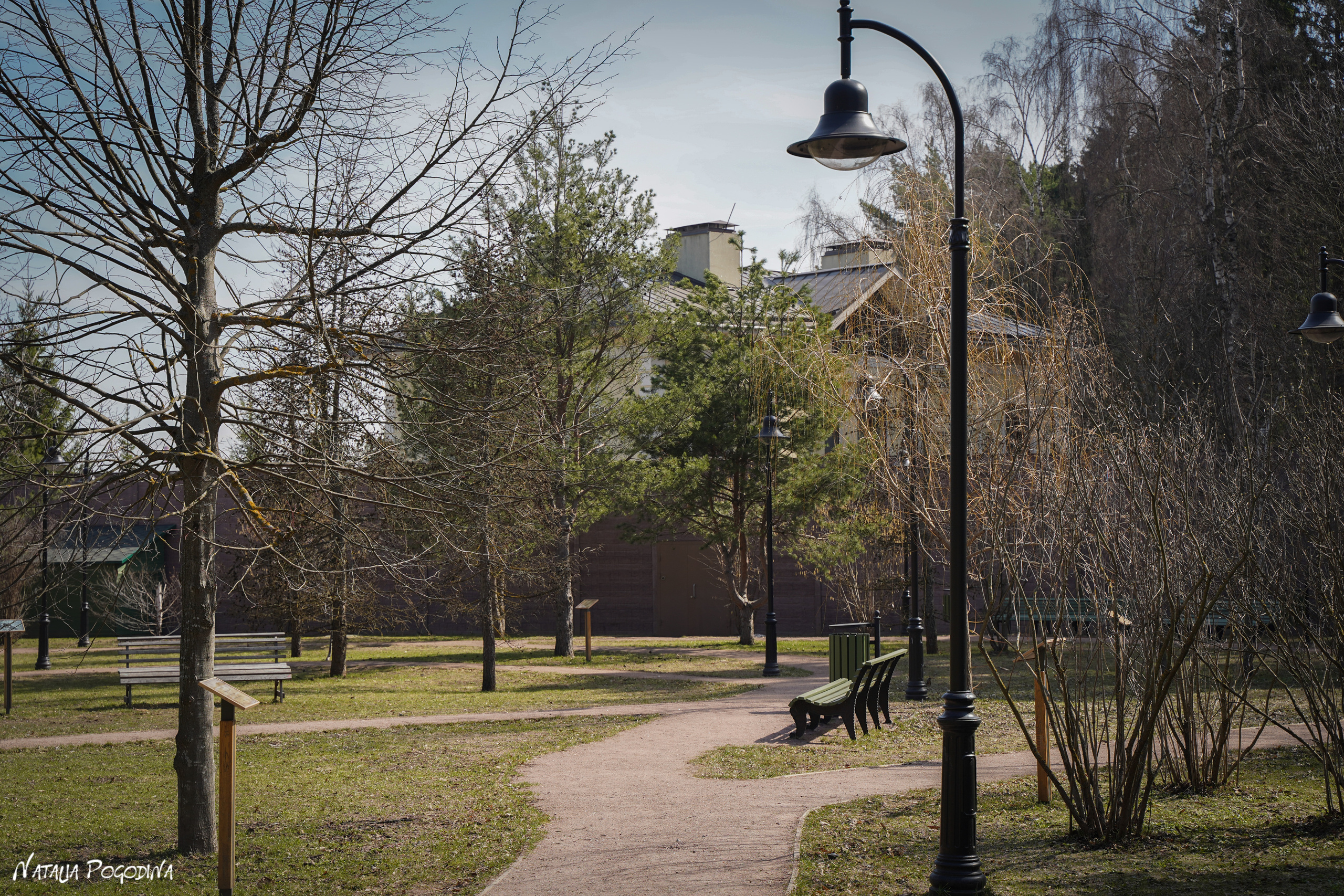 Фотопрогулка в Переделкино. Фотограф Наталья Погодина в г. Обнинске