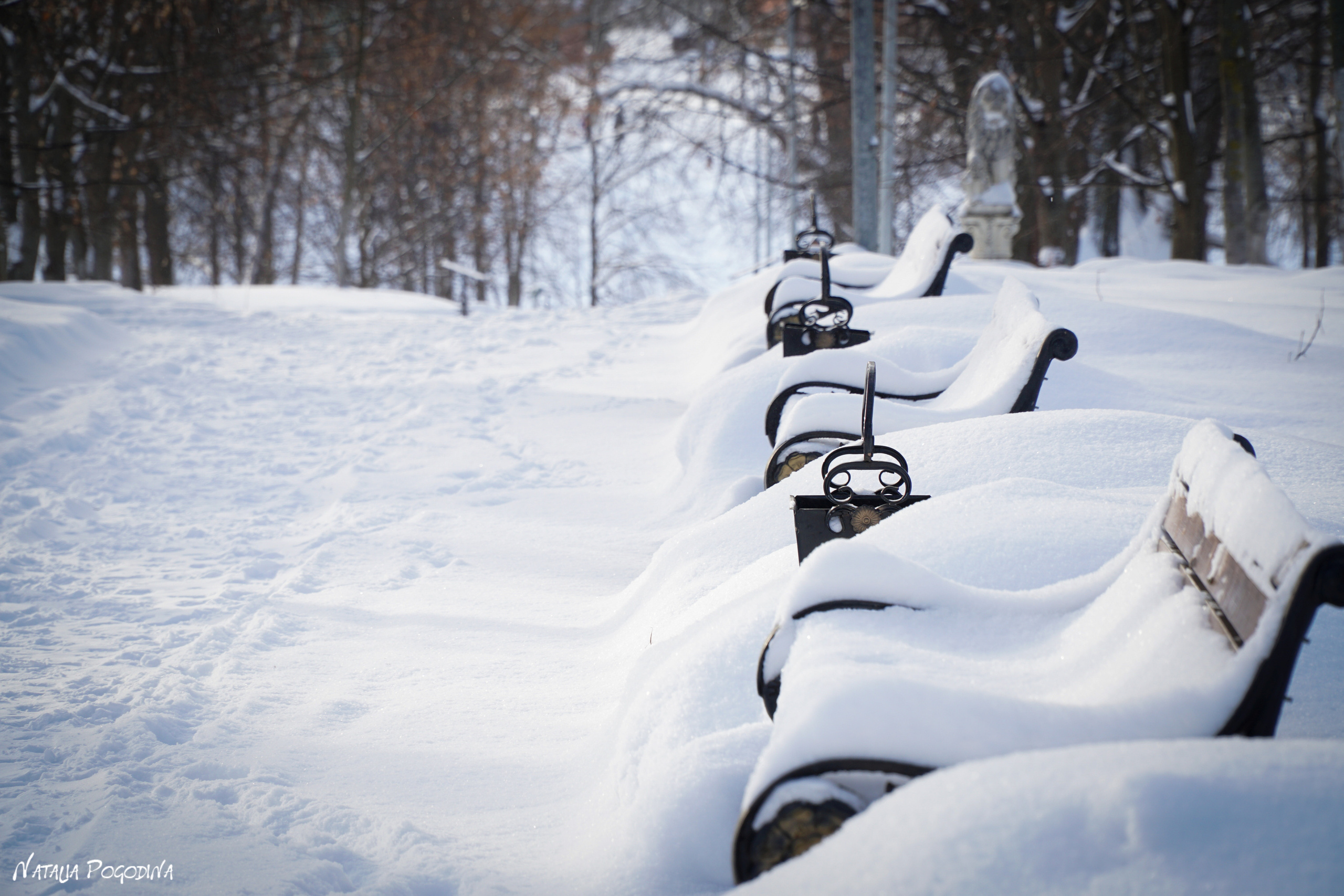 ОБНИНСК. Фотограф Наталья Погодина в г. Обнинске