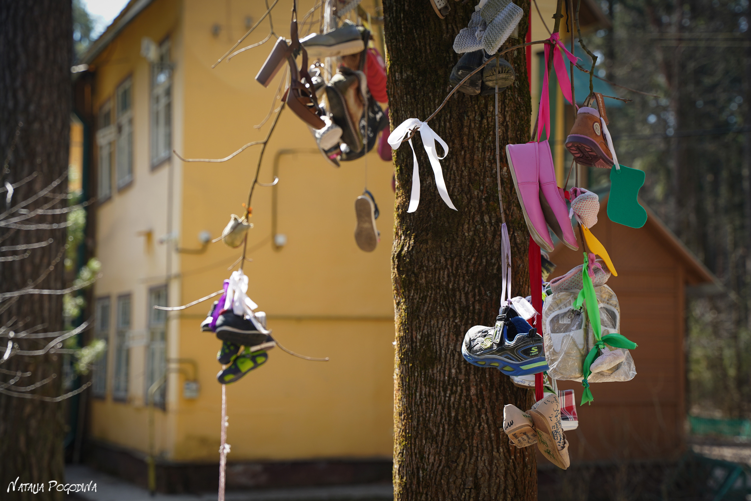 Фотопрогулка в Переделкино. Фотограф Наталья Погодина в г. Обнинске
