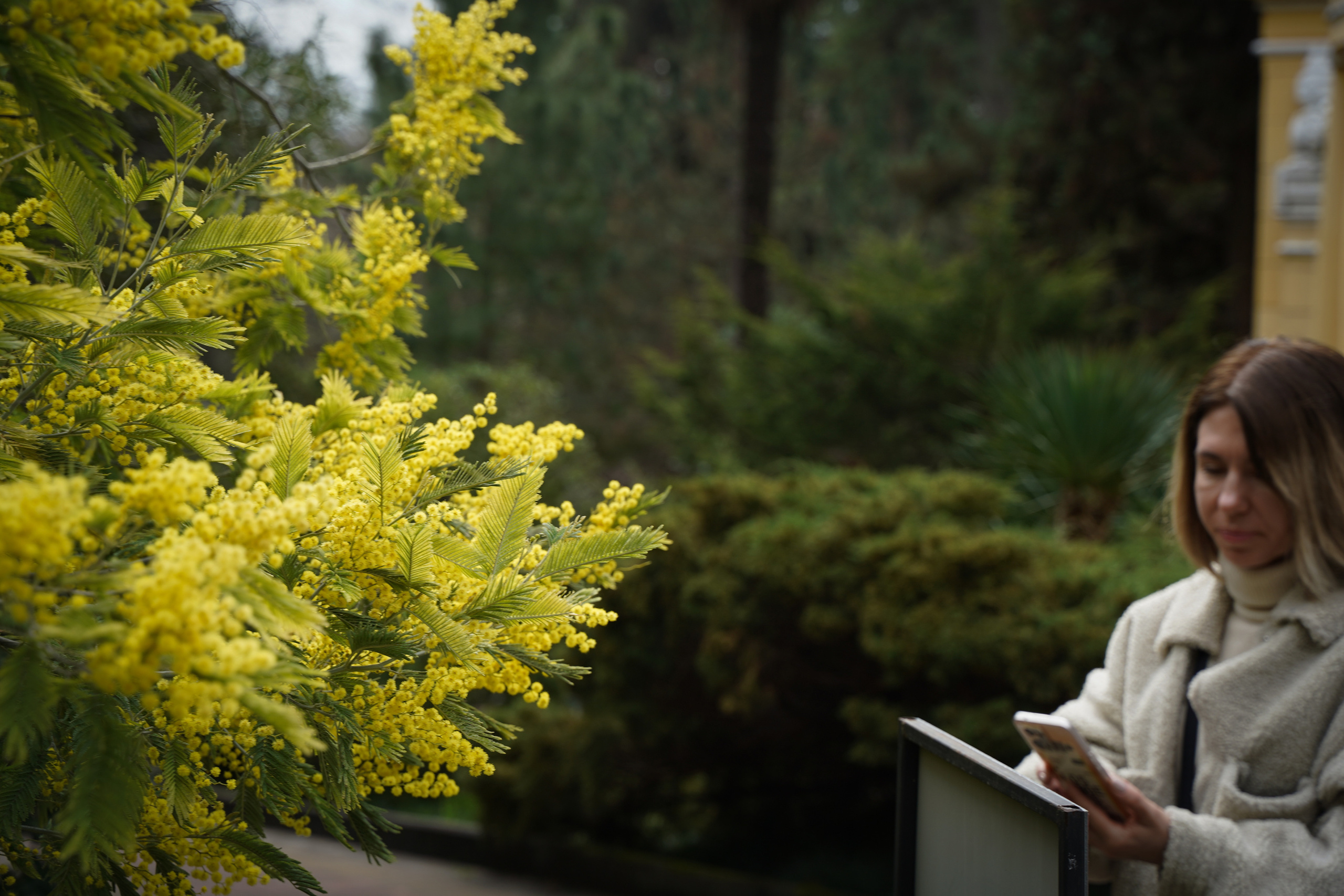 Фото Сочи 2023. Фотограф Наталья Погодина в г. Обнинске