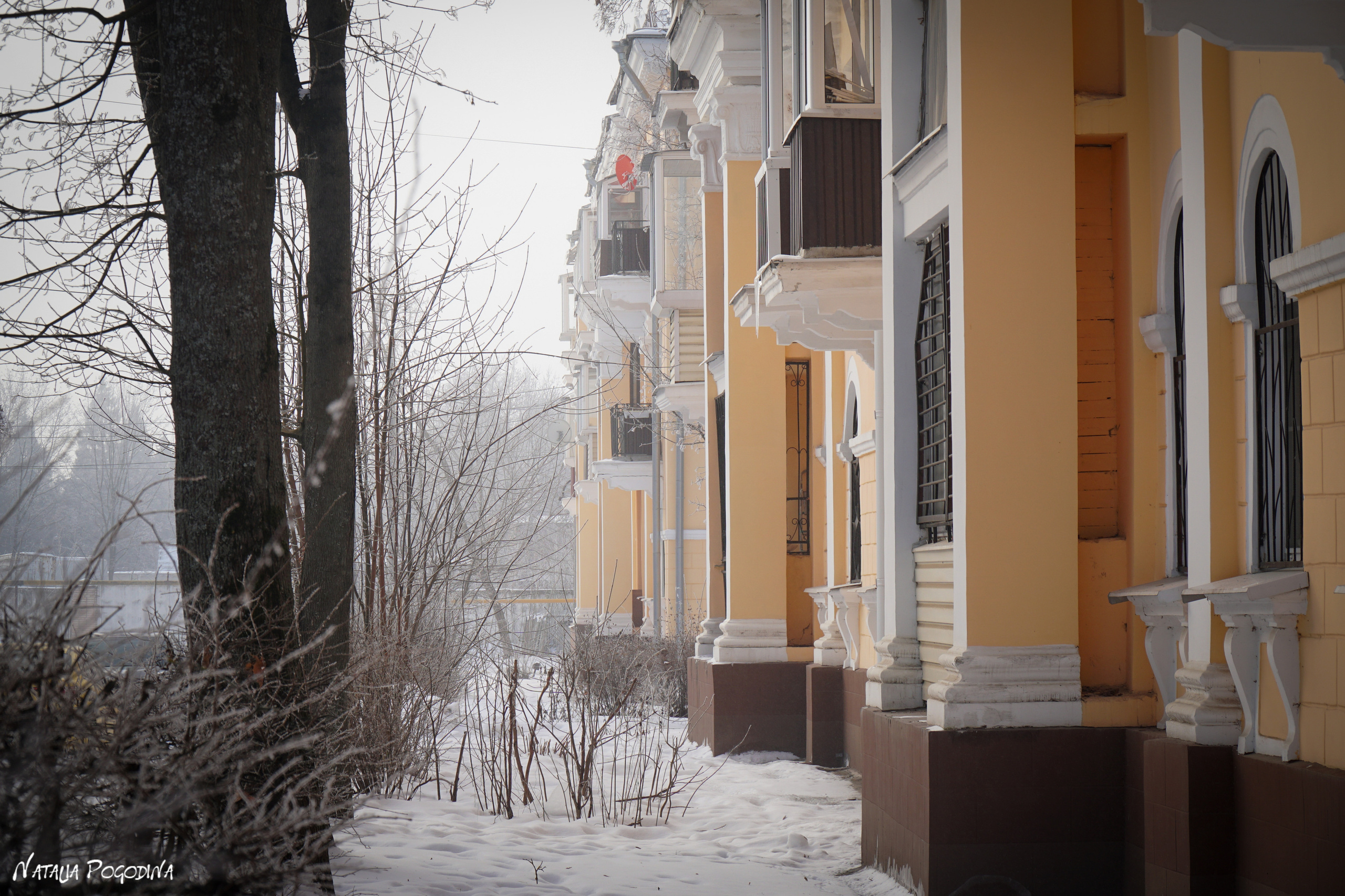 ОБНИНСК. Фотограф Наталья Погодина в г. Обнинске