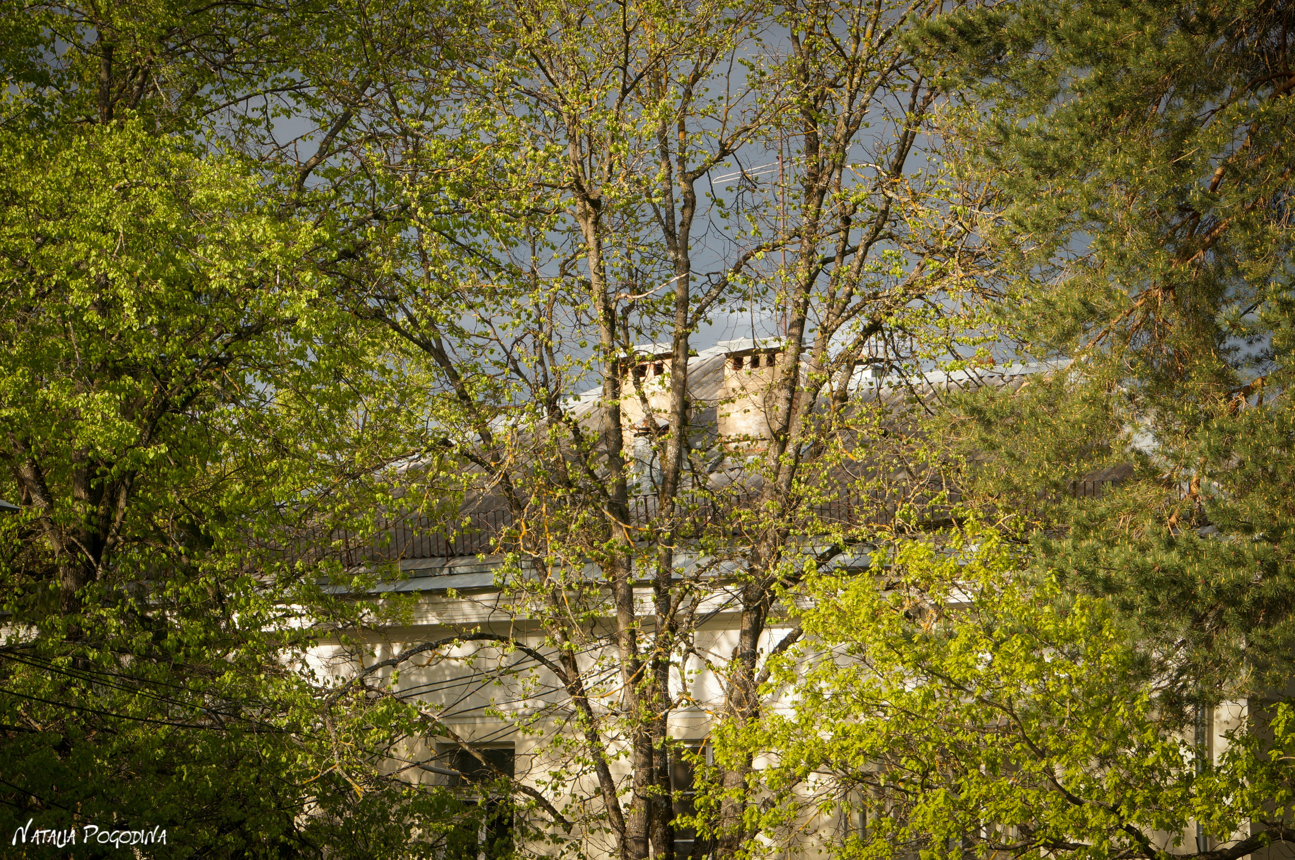 ОБНИНСК. Фотограф Наталья Погодина в г. Обнинске