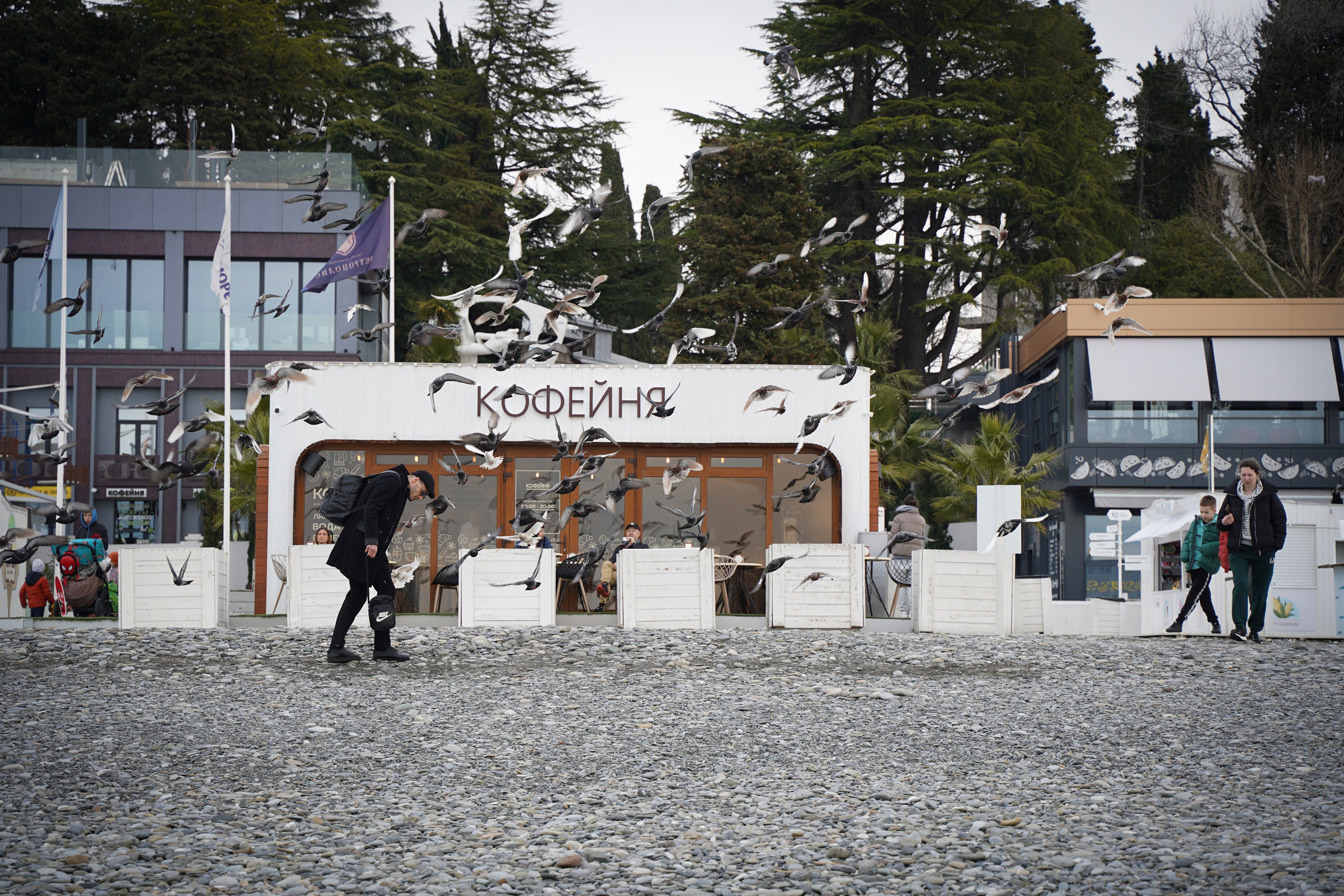 Фото Сочи 2023. Фотограф Наталья Погодина в г. Обнинске