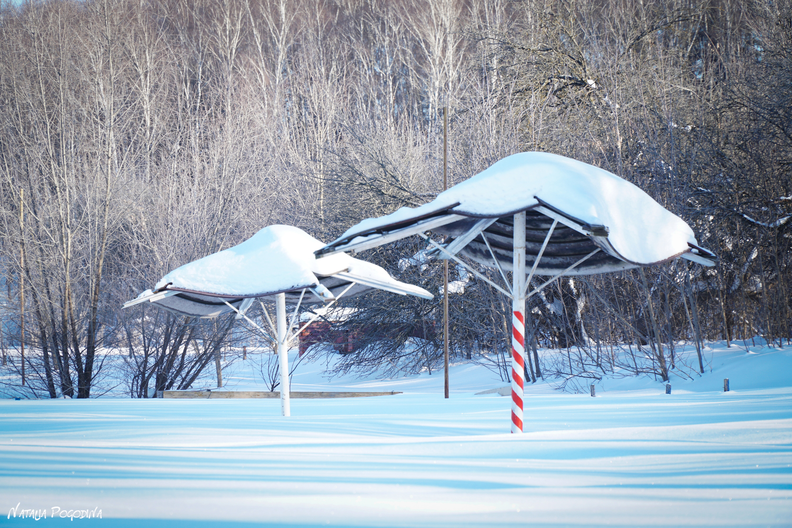 ОБНИНСК. Фотограф Наталья Погодина в г. Обнинске