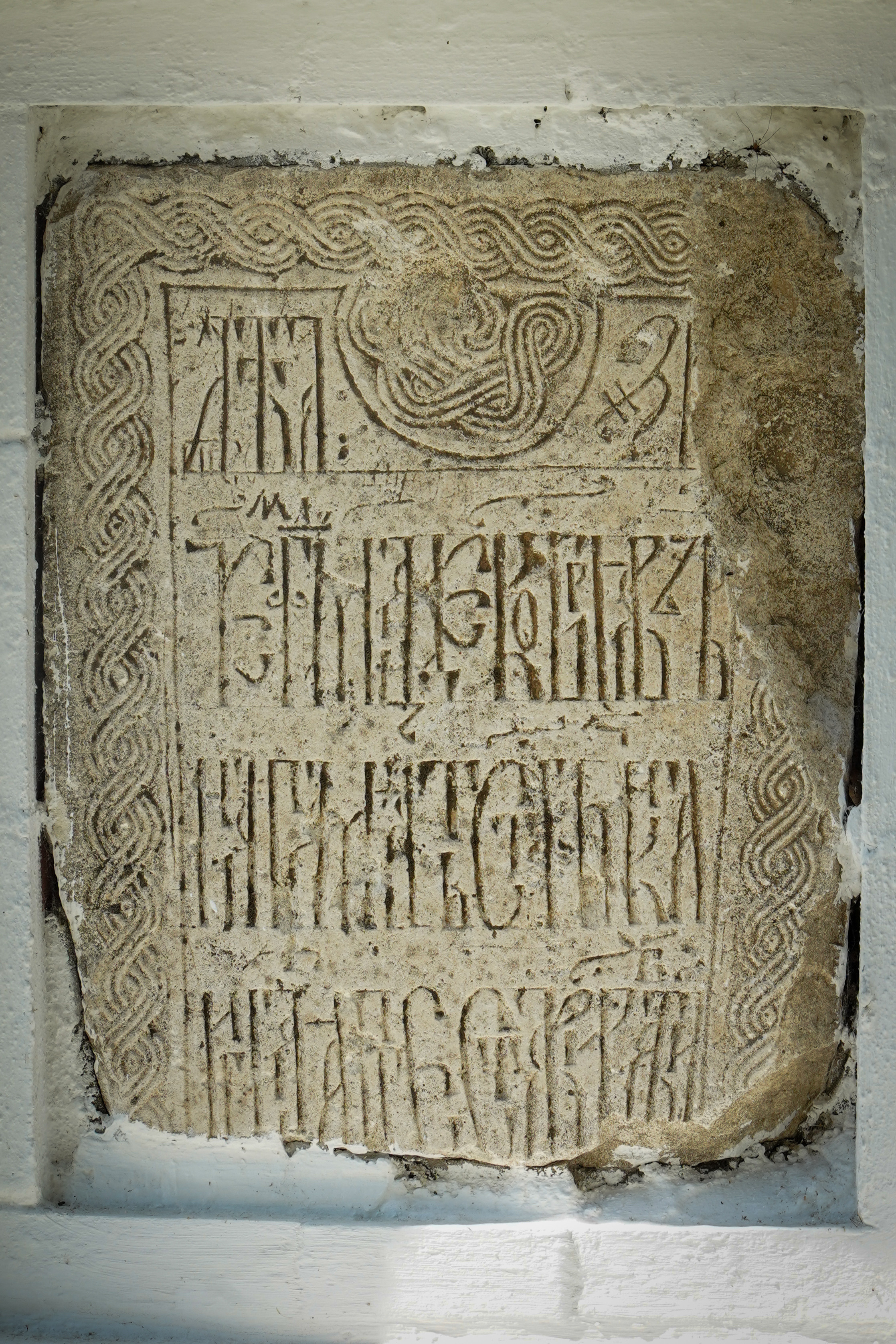 ВЕРЕЯ. Июль 2023. Фотограф Наталья Погодина в г. Обнинске