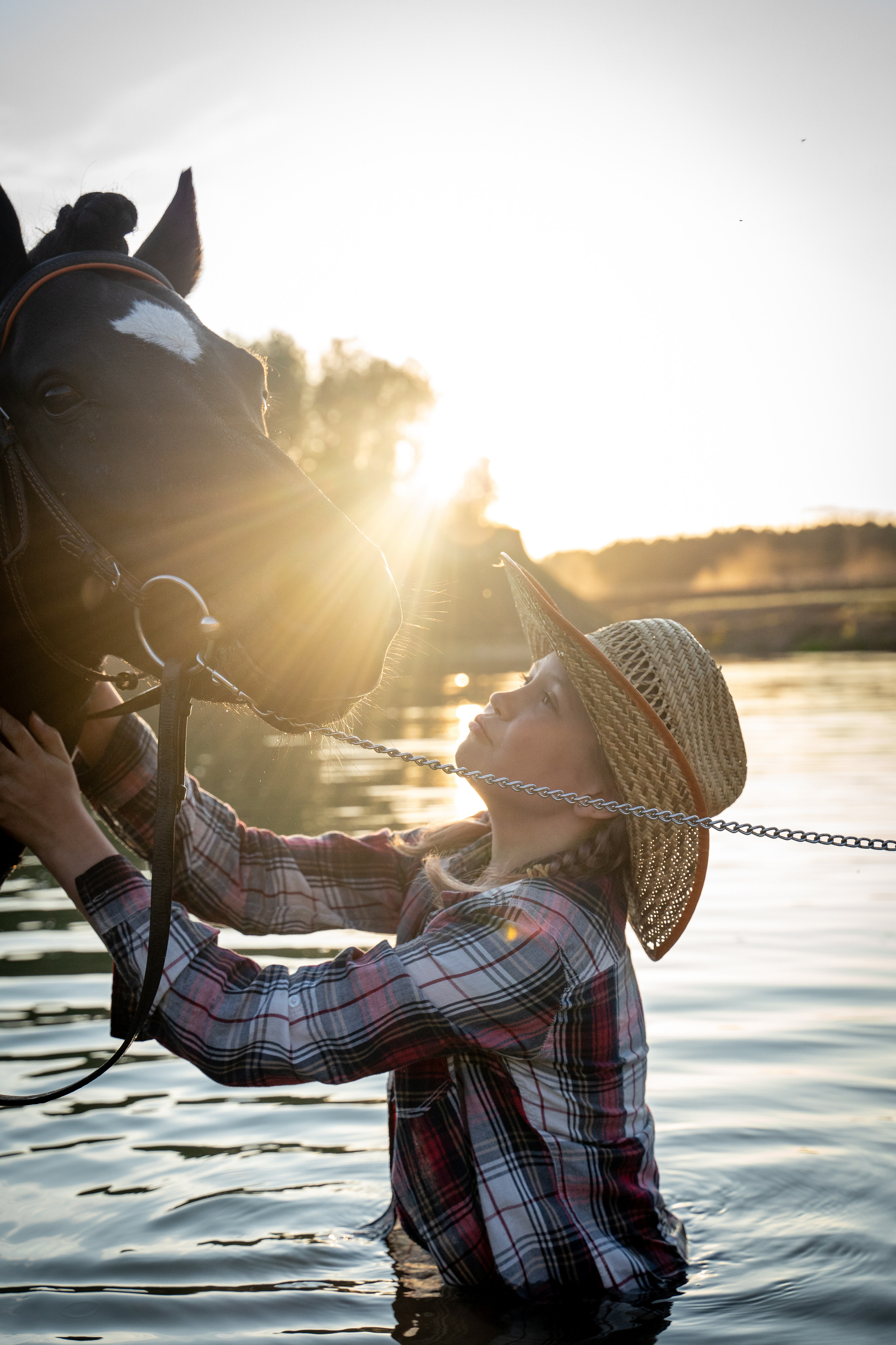 Фотосъемка с лошадью. Анималист фотограф. Фотосессия с лошадью на закате