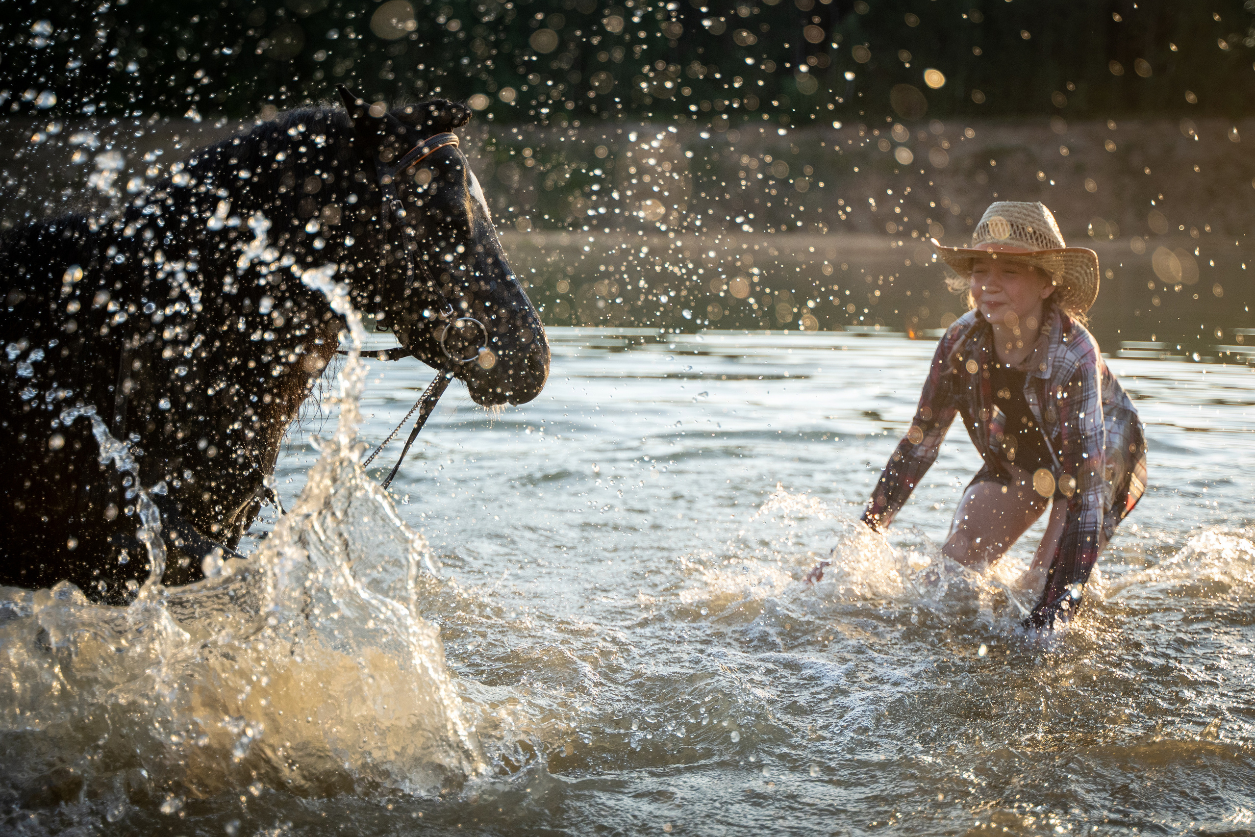 Фотосъемка с лошадью. Анималист фотограф. Фотосессия с лошадью на закате