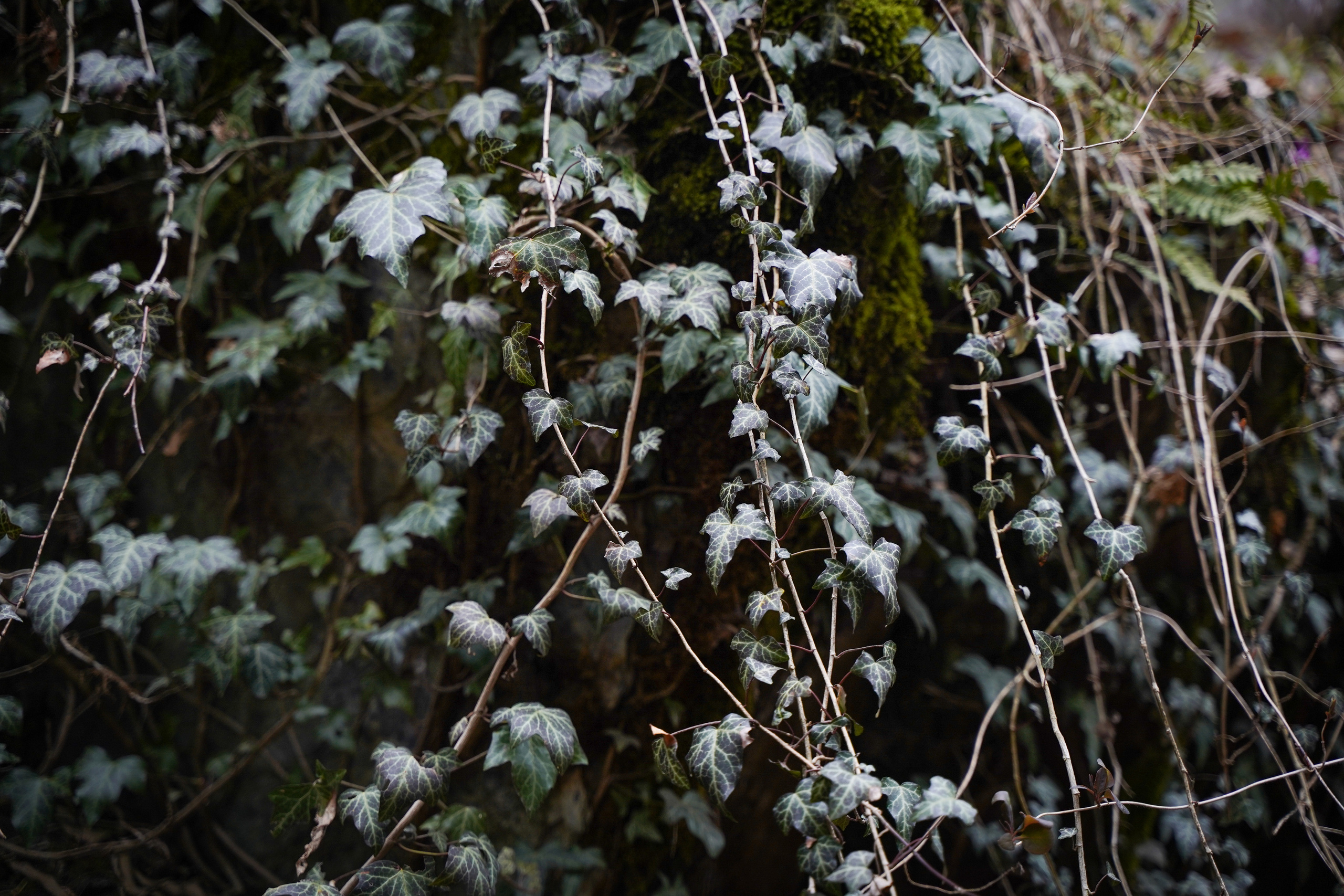 Фото Сочи 2023. Фотограф Наталья Погодина в г. Обнинске