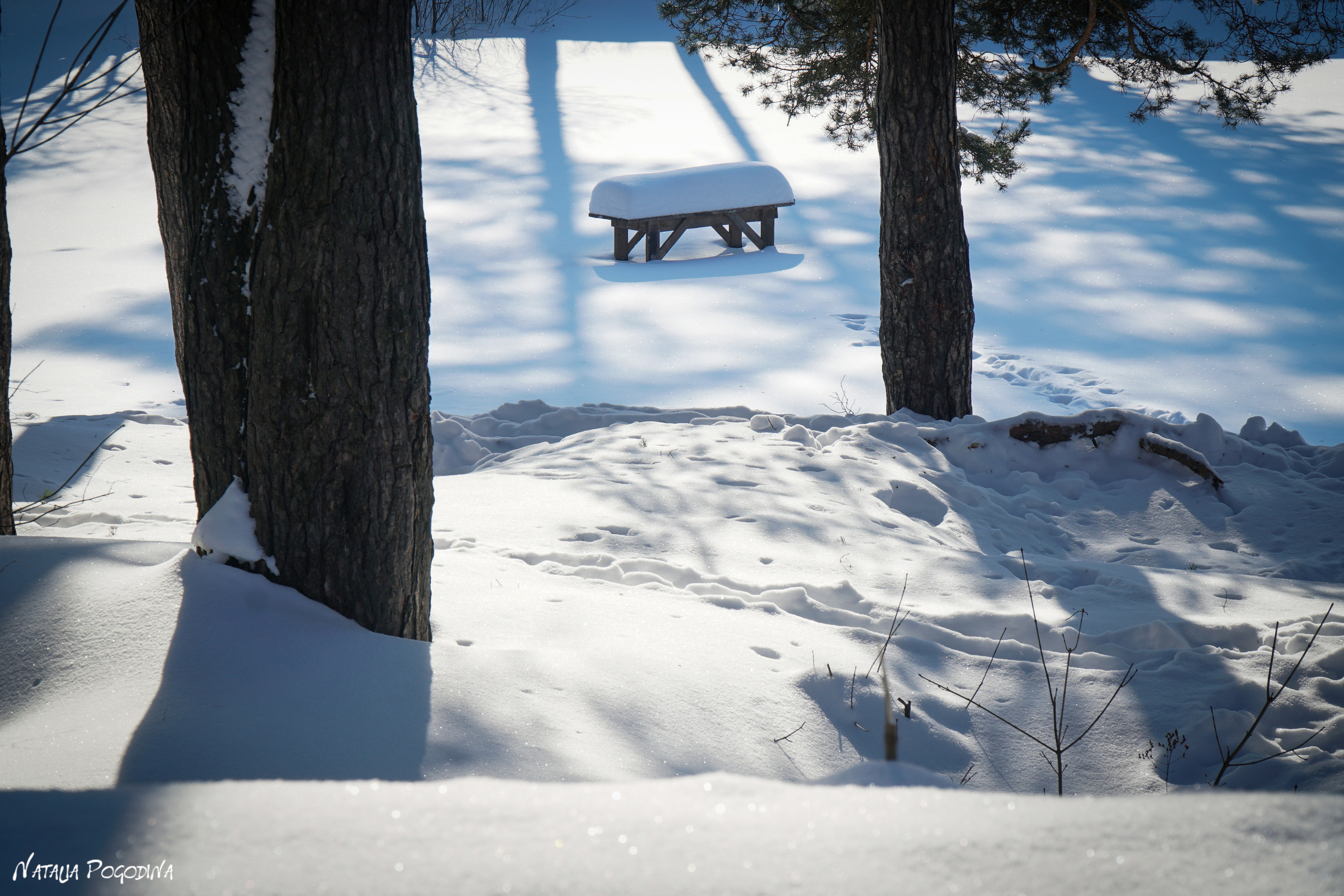 ОБНИНСК. Фотограф Наталья Погодина в г. Обнинске