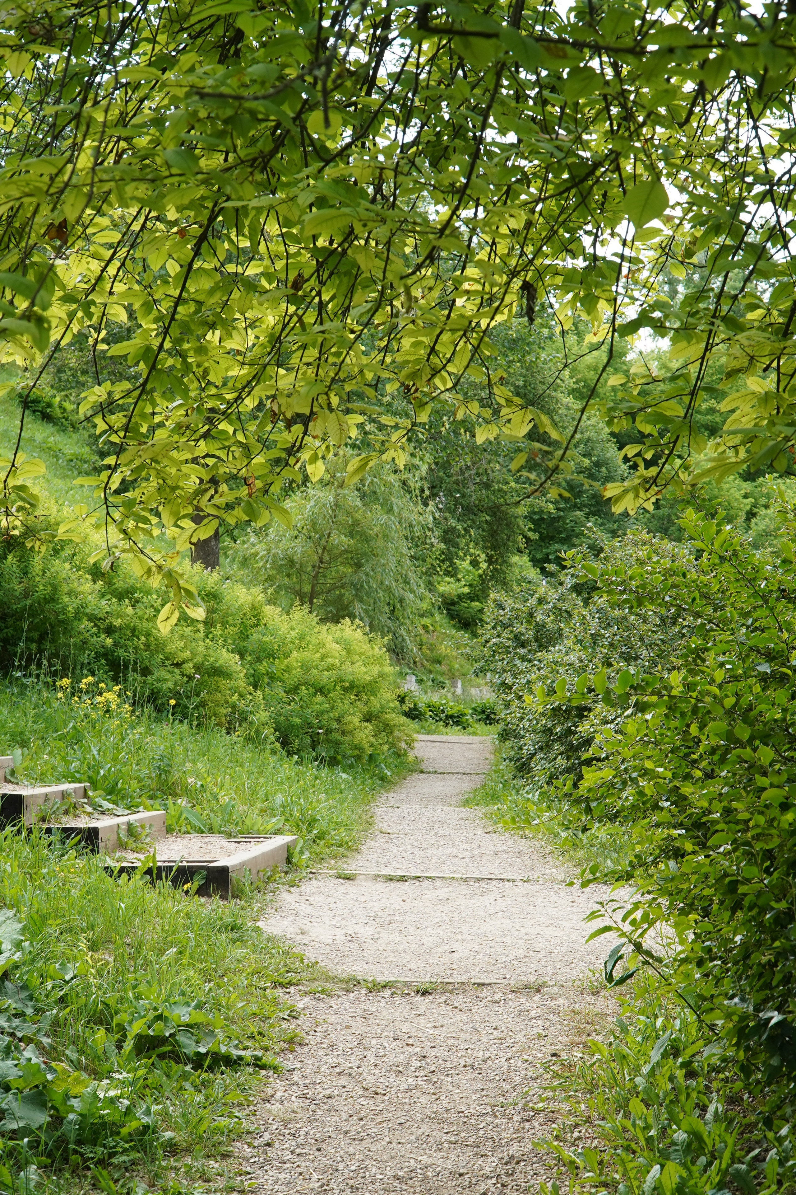РУСИНОВО. Фотограф Наталья Погодина в г. Обнинске