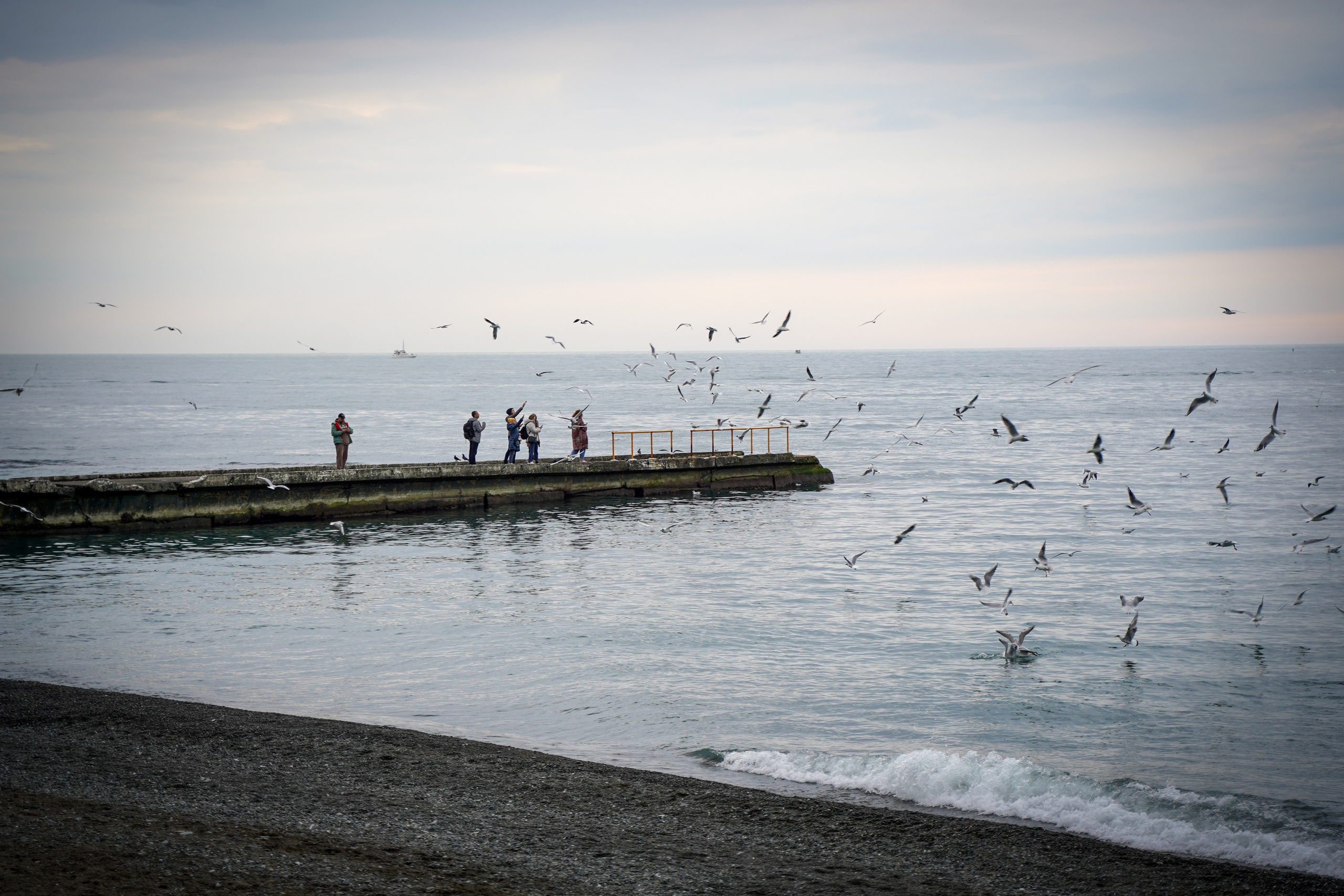 Фото Сочи 2023. Фотограф Наталья Погодина в г. Обнинске