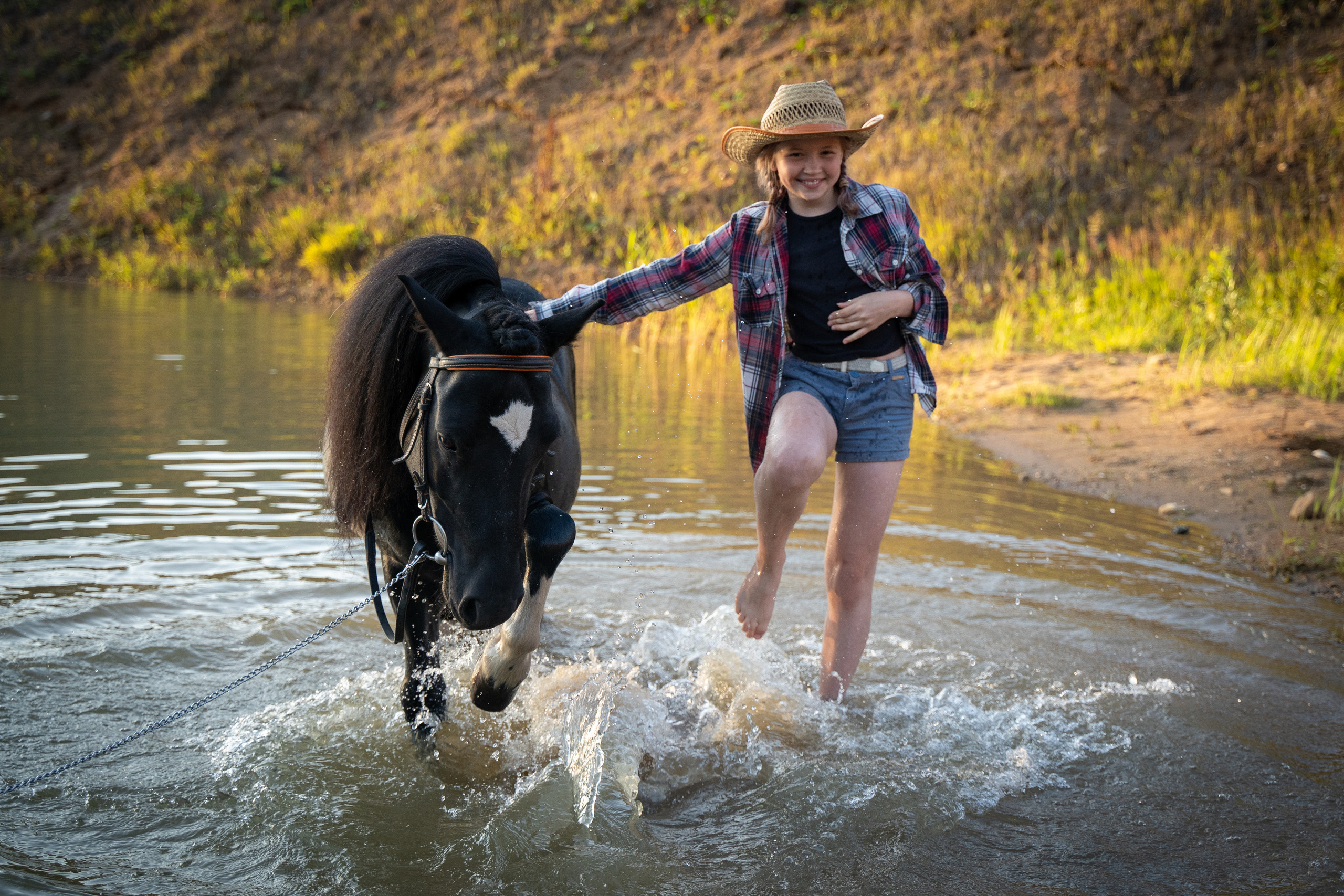 Фотосъемка с лошадью. Анималист фотограф. Фотосессия с лошадью на закате