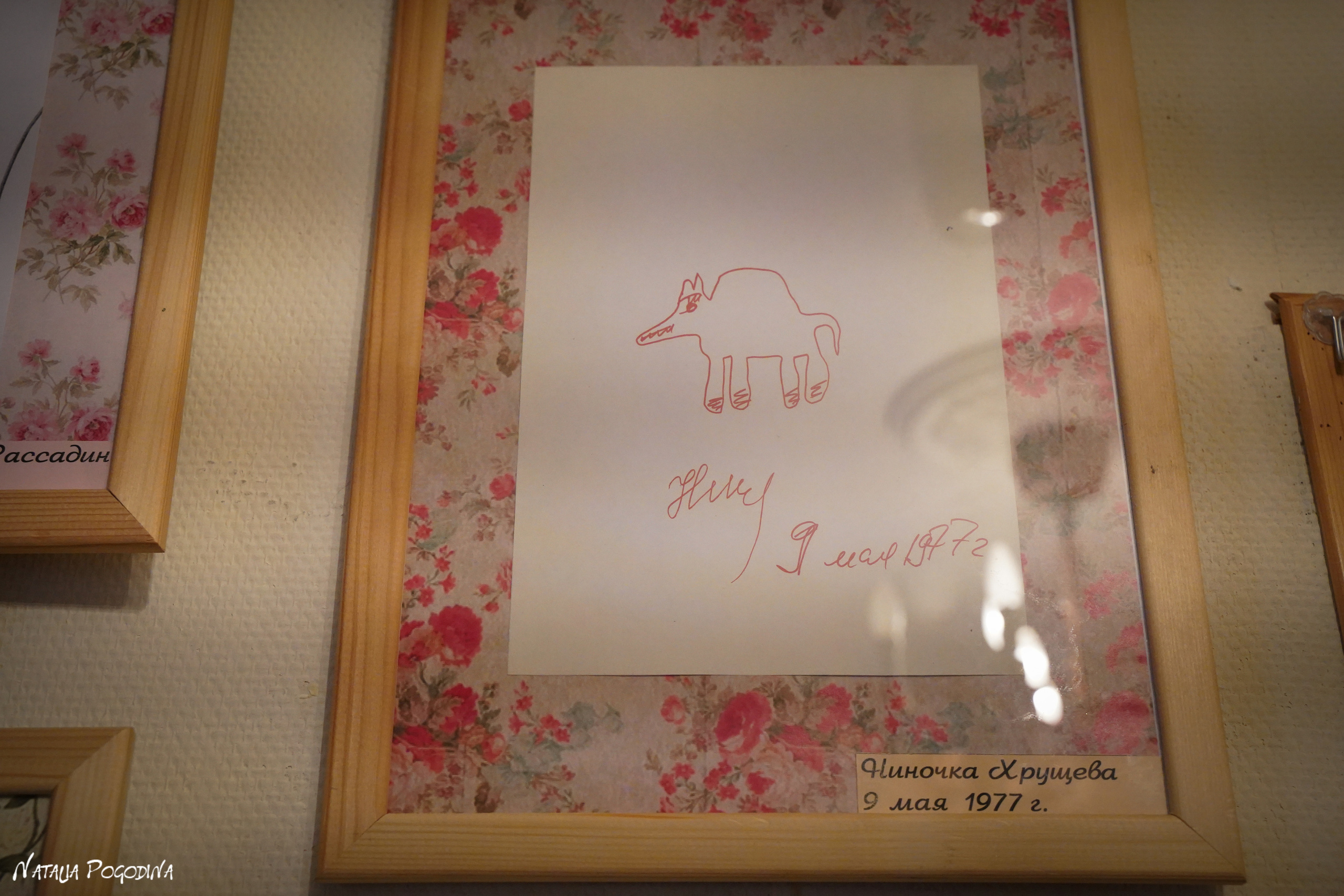 Фотопрогулка в Переделкино. Фотограф Наталья Погодина в г. Обнинске