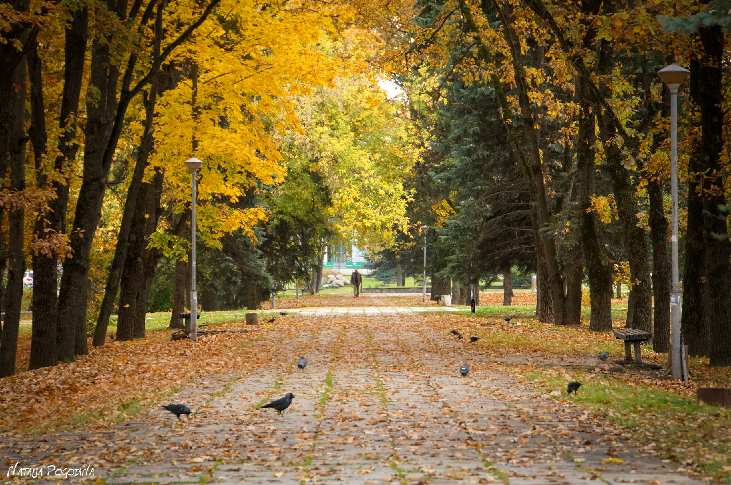 ОБНИНСК. Фотограф Наталья Погодина в г. Обнинске