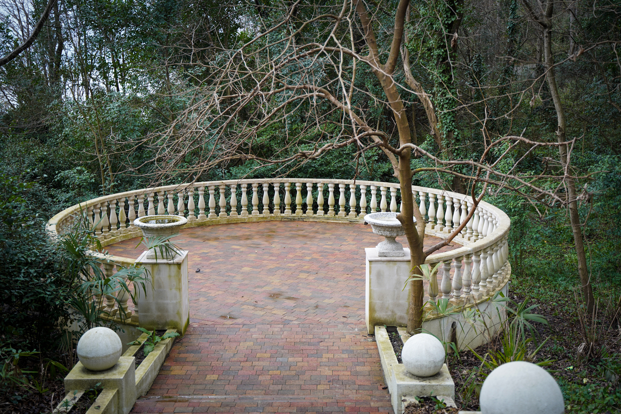 Фото Сочи 2023. Фотограф Наталья Погодина в г. Обнинске