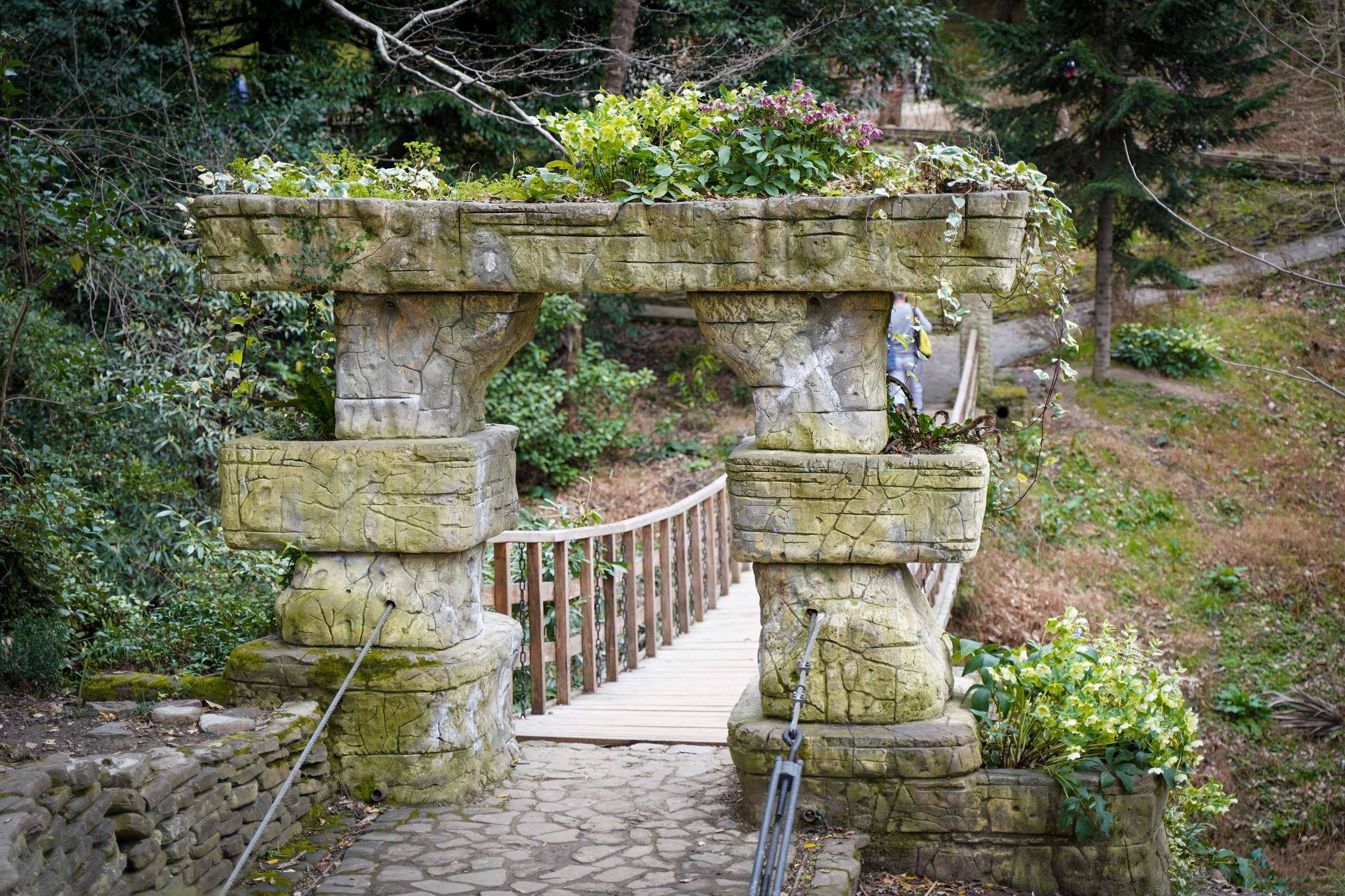 Фото Сочи 2023. Фотограф Наталья Погодина в г. Обнинске