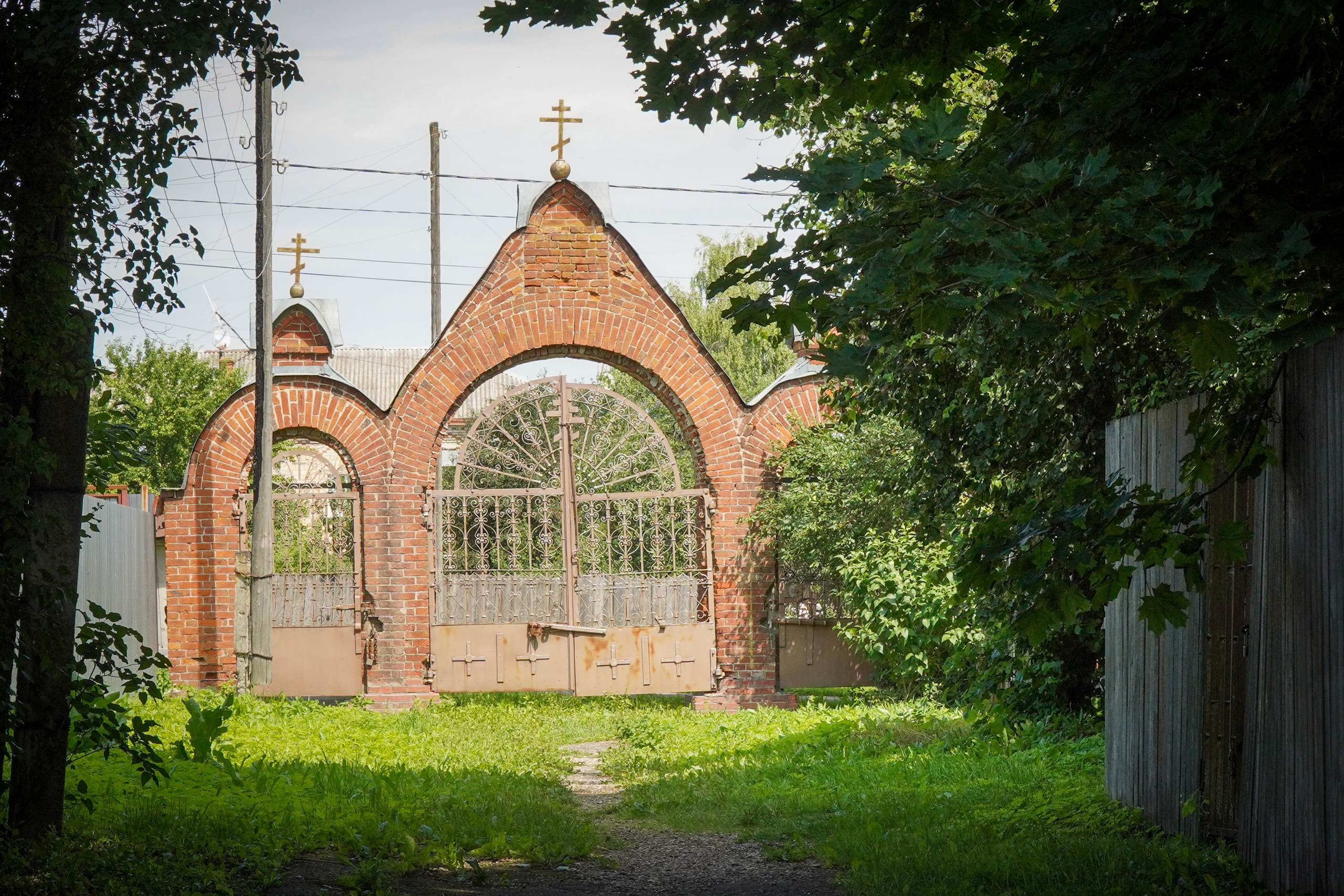 ВЕРЕЯ. Июль 2023. Фотограф Наталья Погодина в г. Обнинске