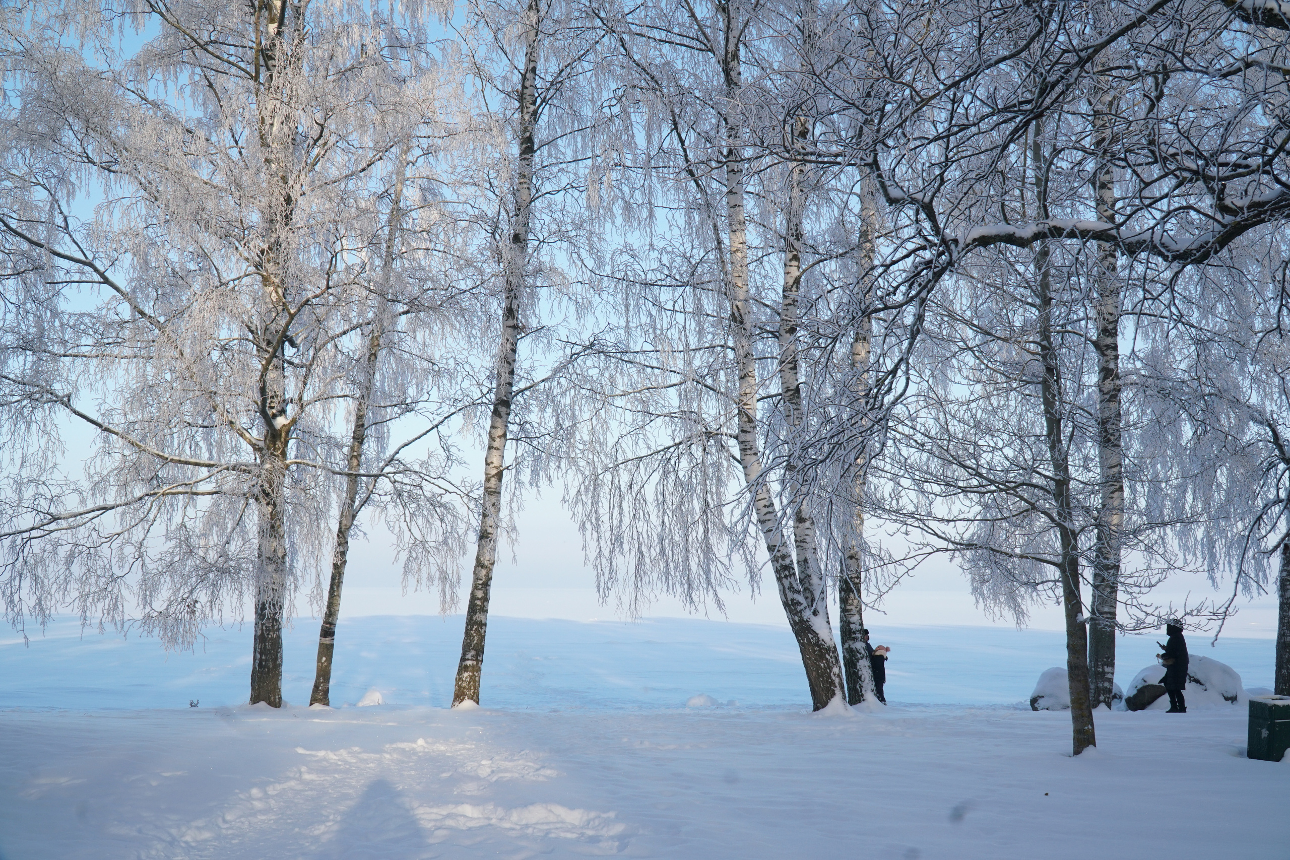 ПЕТЕРГОФ. Январь 2022. Фотограф Наталья Погодина в г. Обнинске