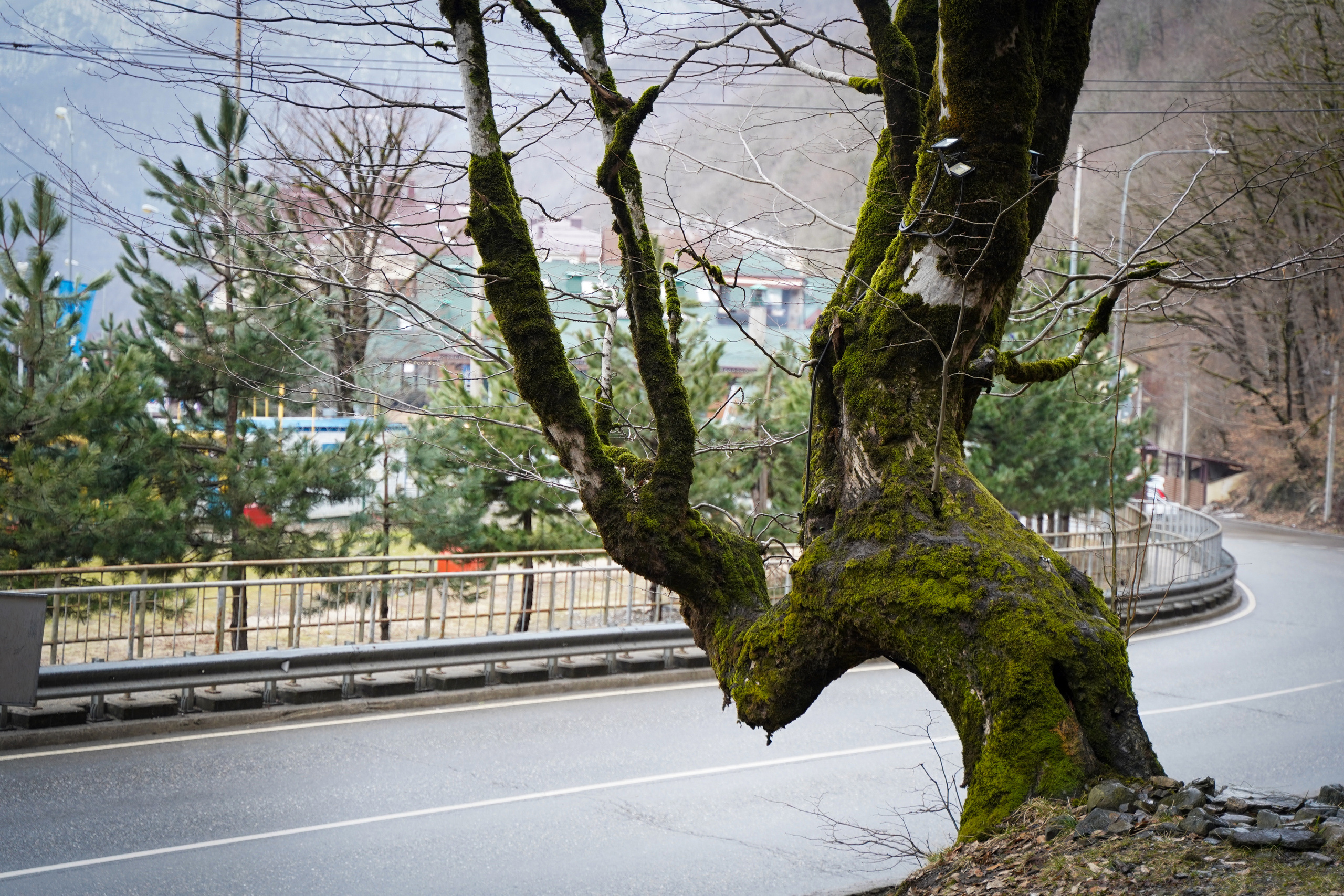 Фото Сочи 2023. Фотограф Наталья Погодина в г. Обнинске