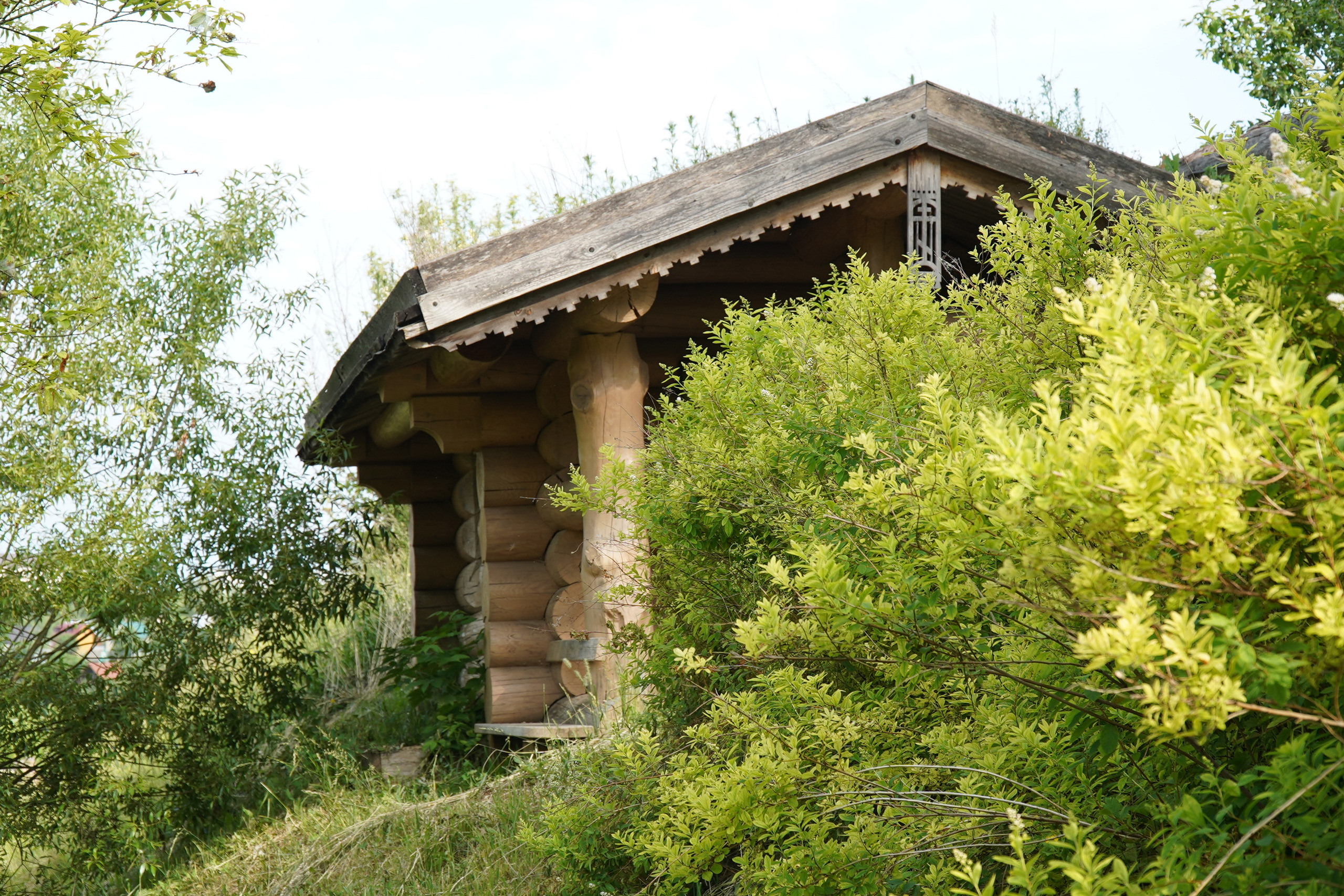 РУСИНОВО. Фотограф Наталья Погодина в г. Обнинске