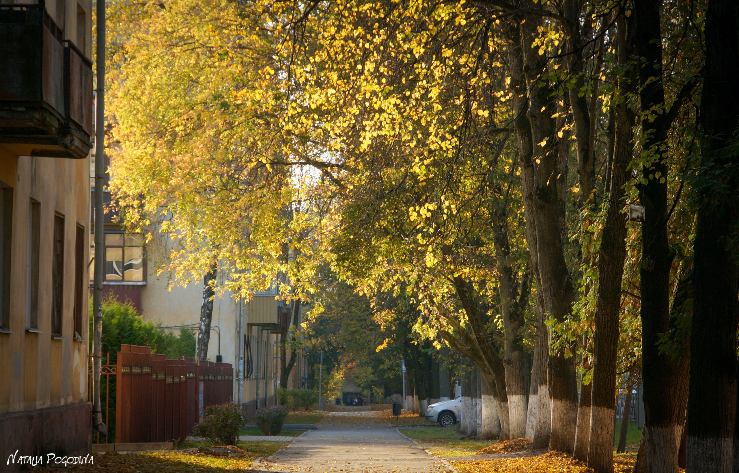 ОБНИНСК. Фотограф Наталья Погодина в г. Обнинске