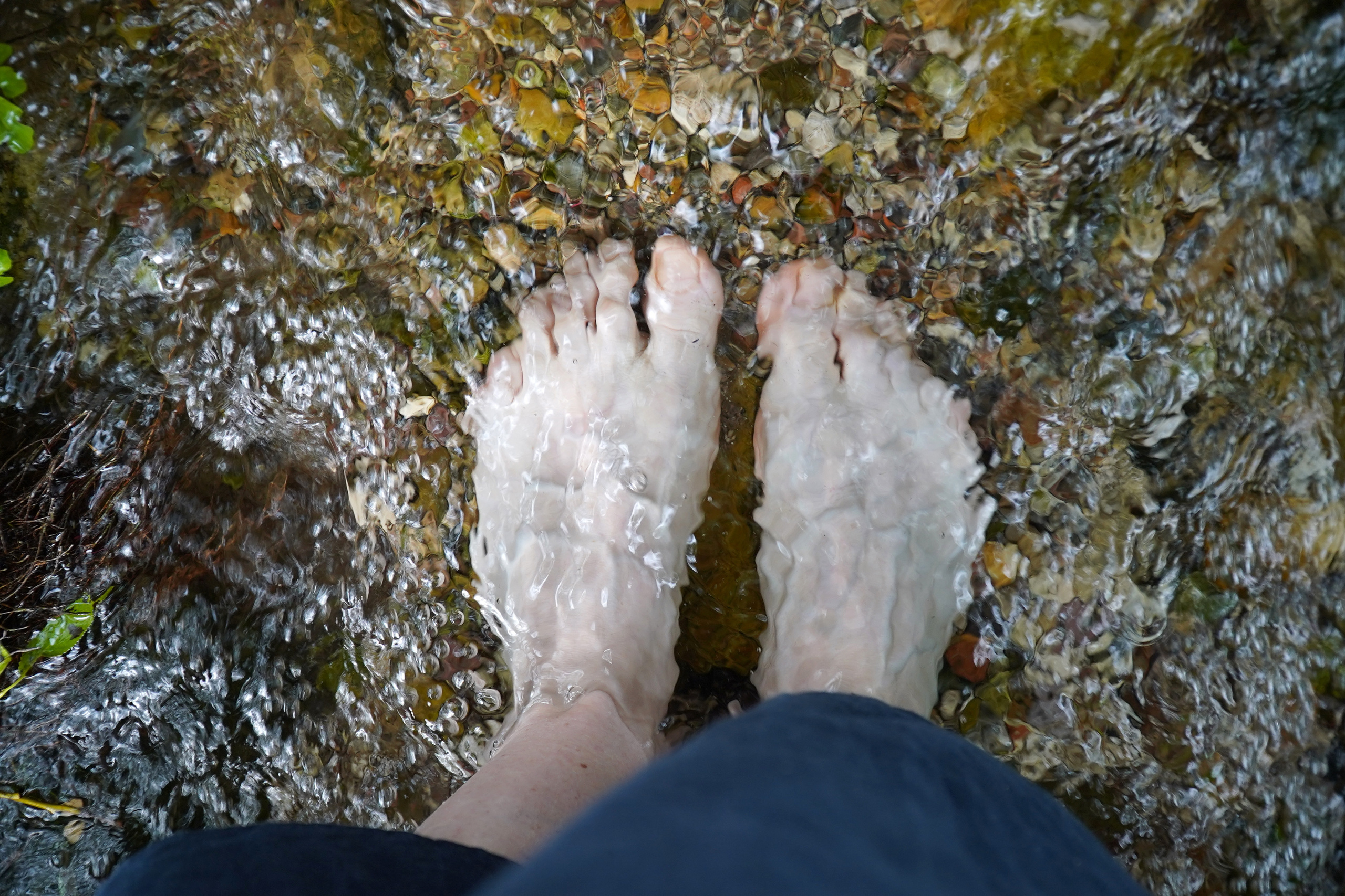 РУСИНОВО. Фотограф Наталья Погодина в г. Обнинске