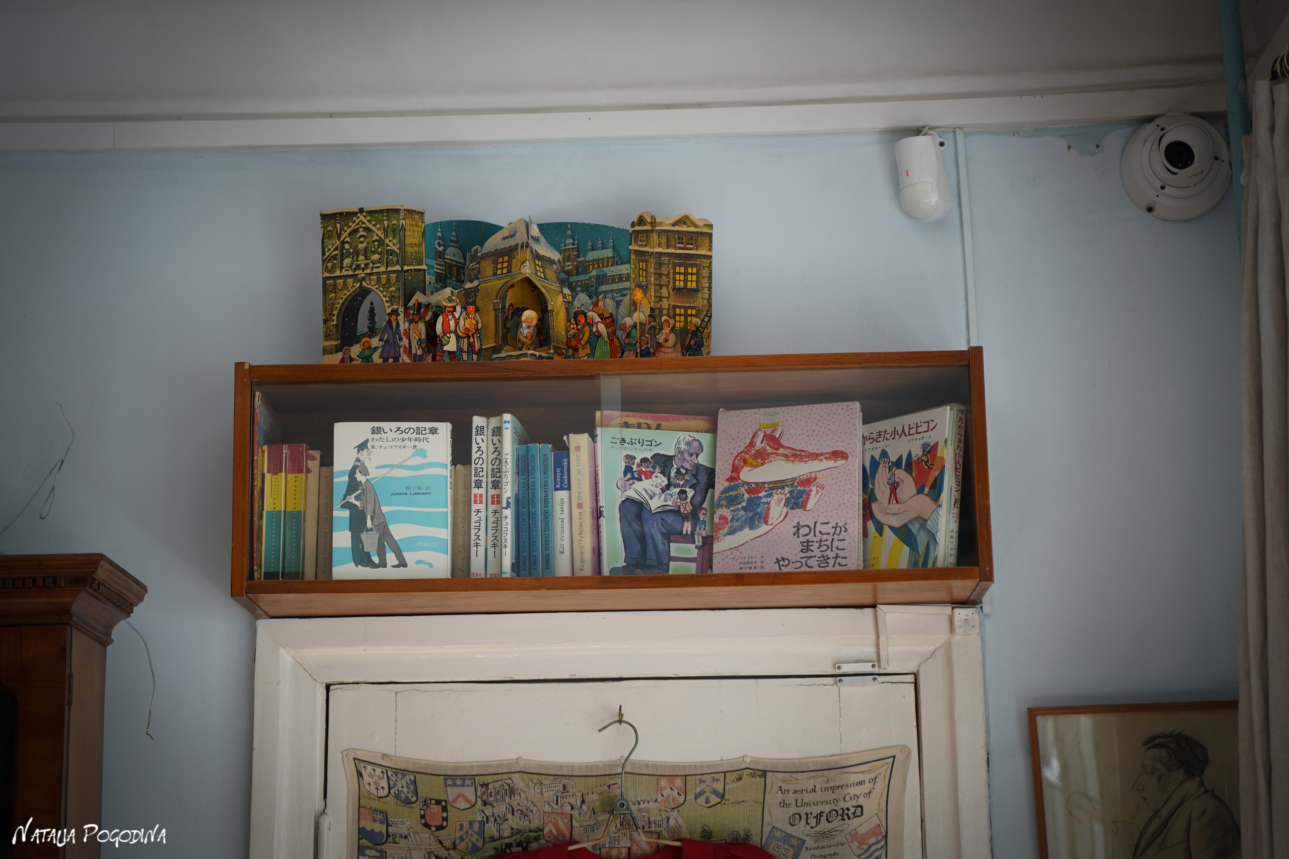 Фотопрогулка в Переделкино. Фотограф Наталья Погодина в г. Обнинске