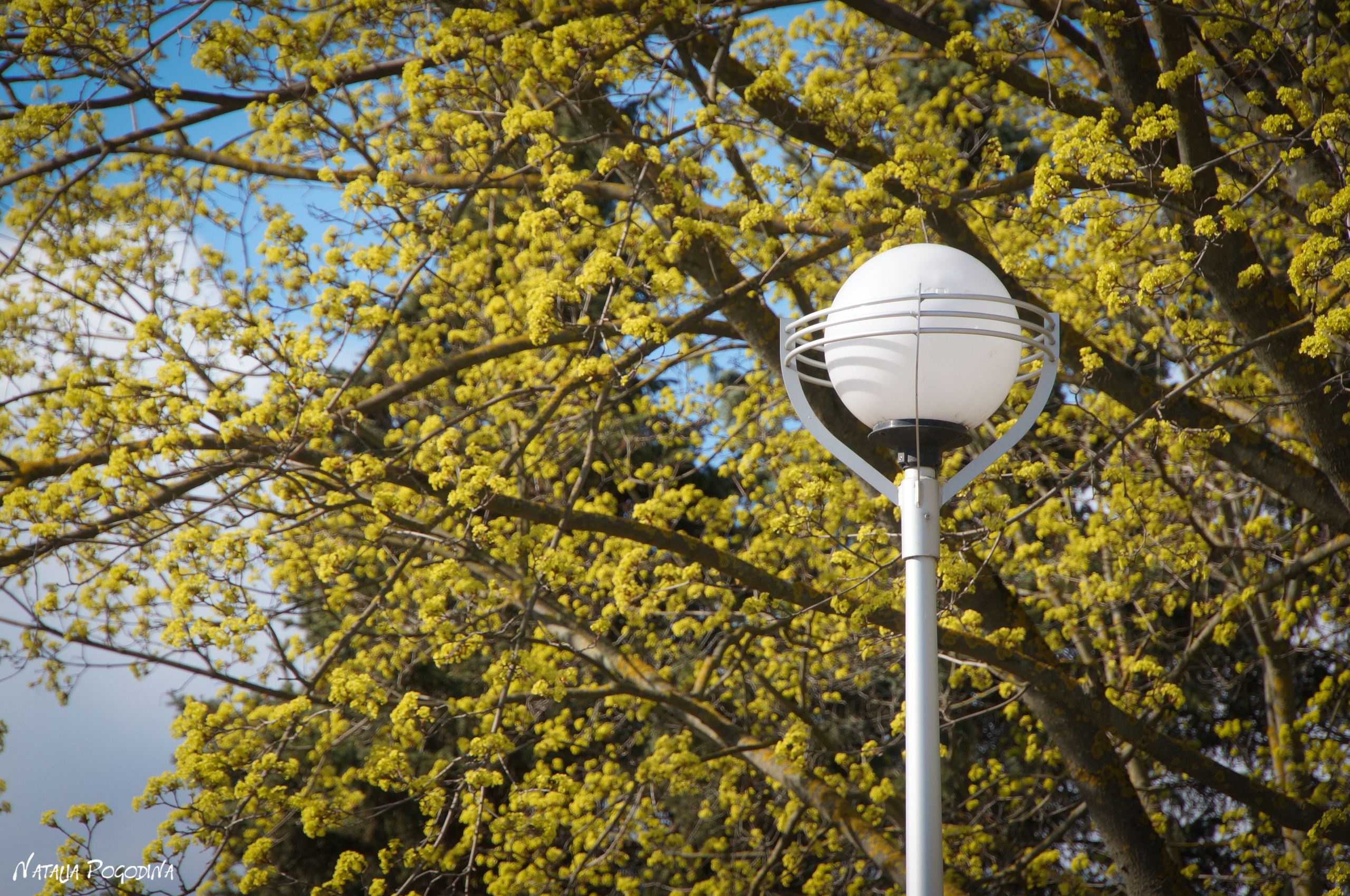 ОБНИНСК. Фотограф Наталья Погодина в г. Обнинске