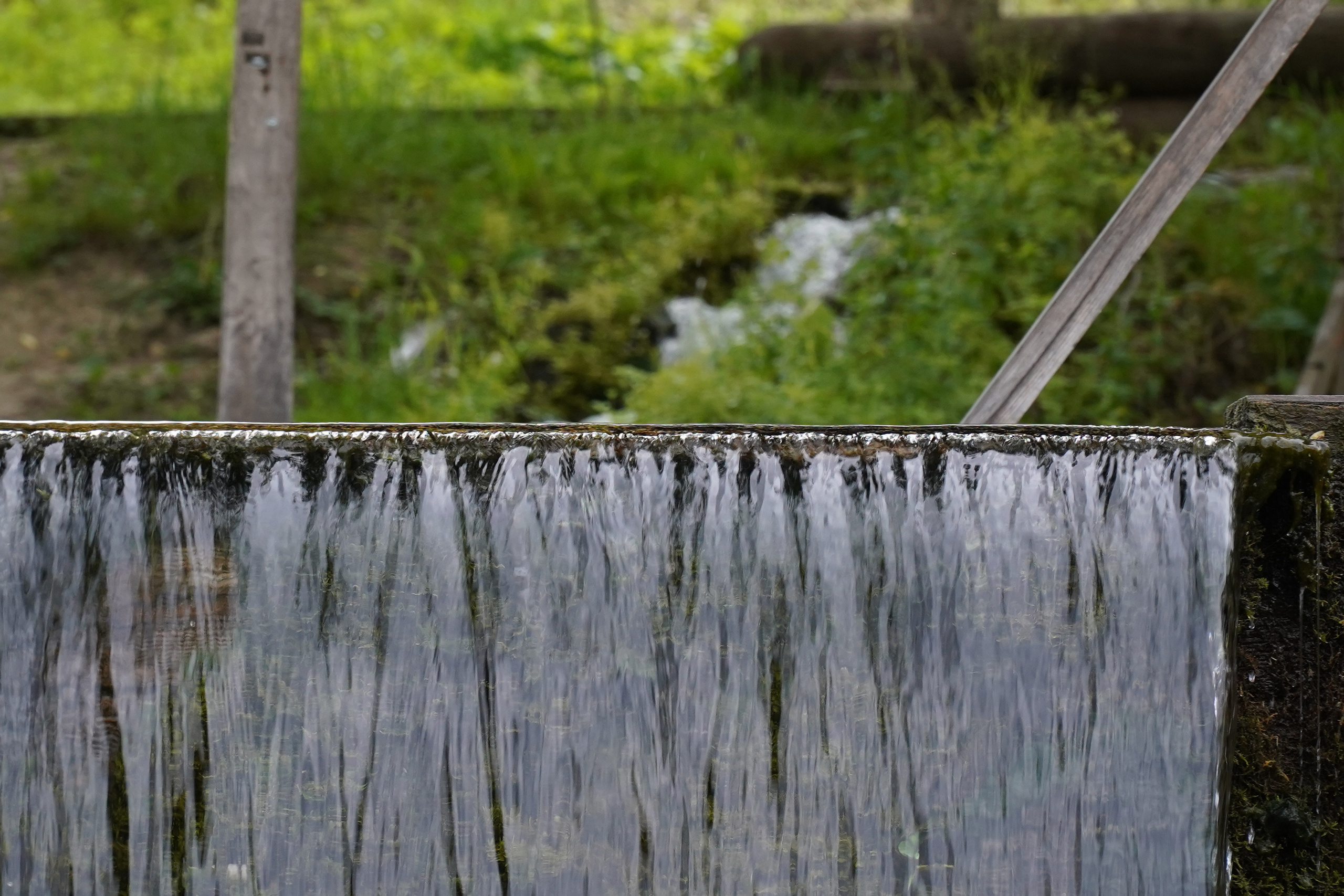 РУСИНОВО. Фотограф Наталья Погодина в г. Обнинске