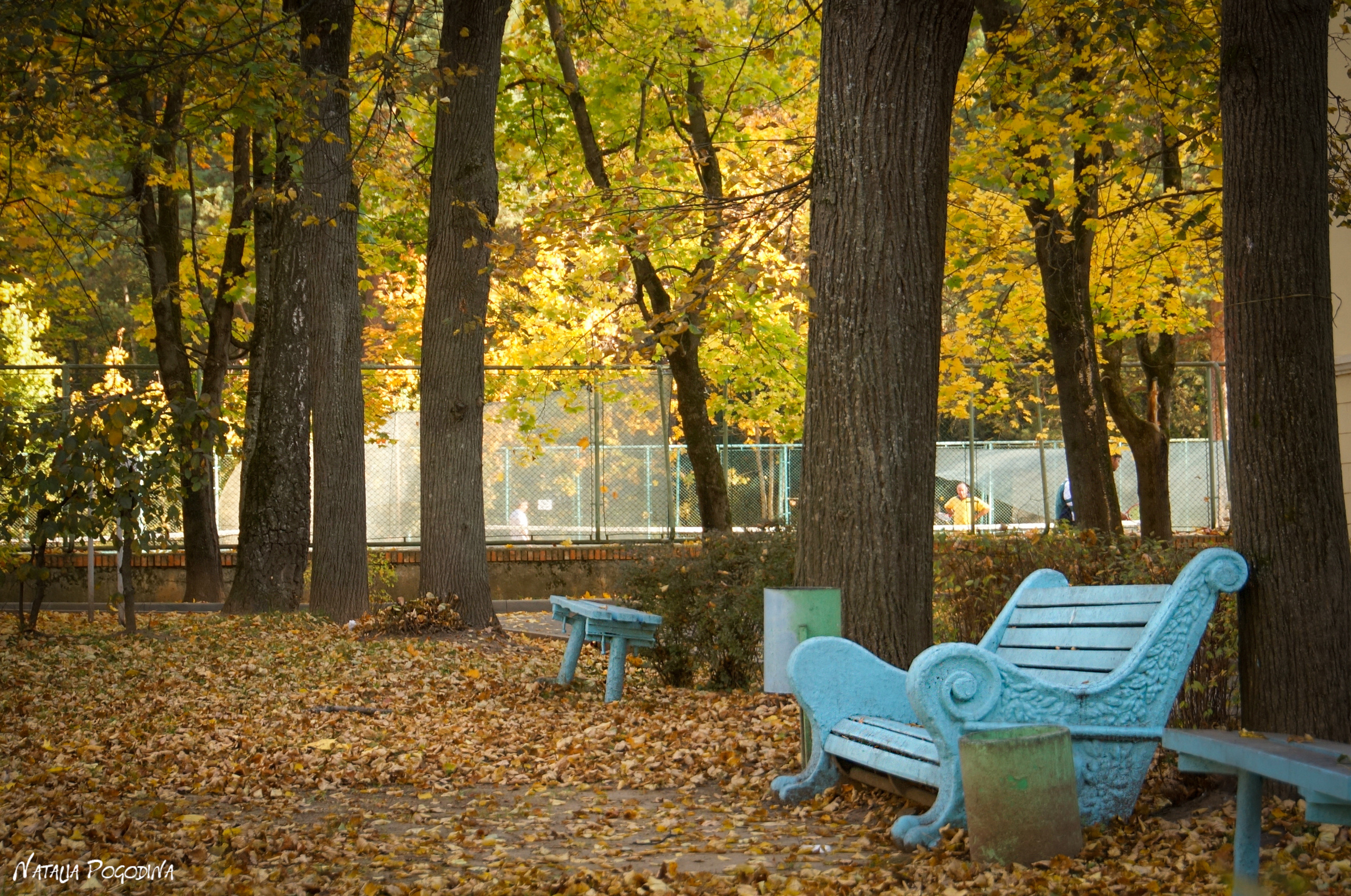ОБНИНСК. Фотограф Наталья Погодина в г. Обнинске