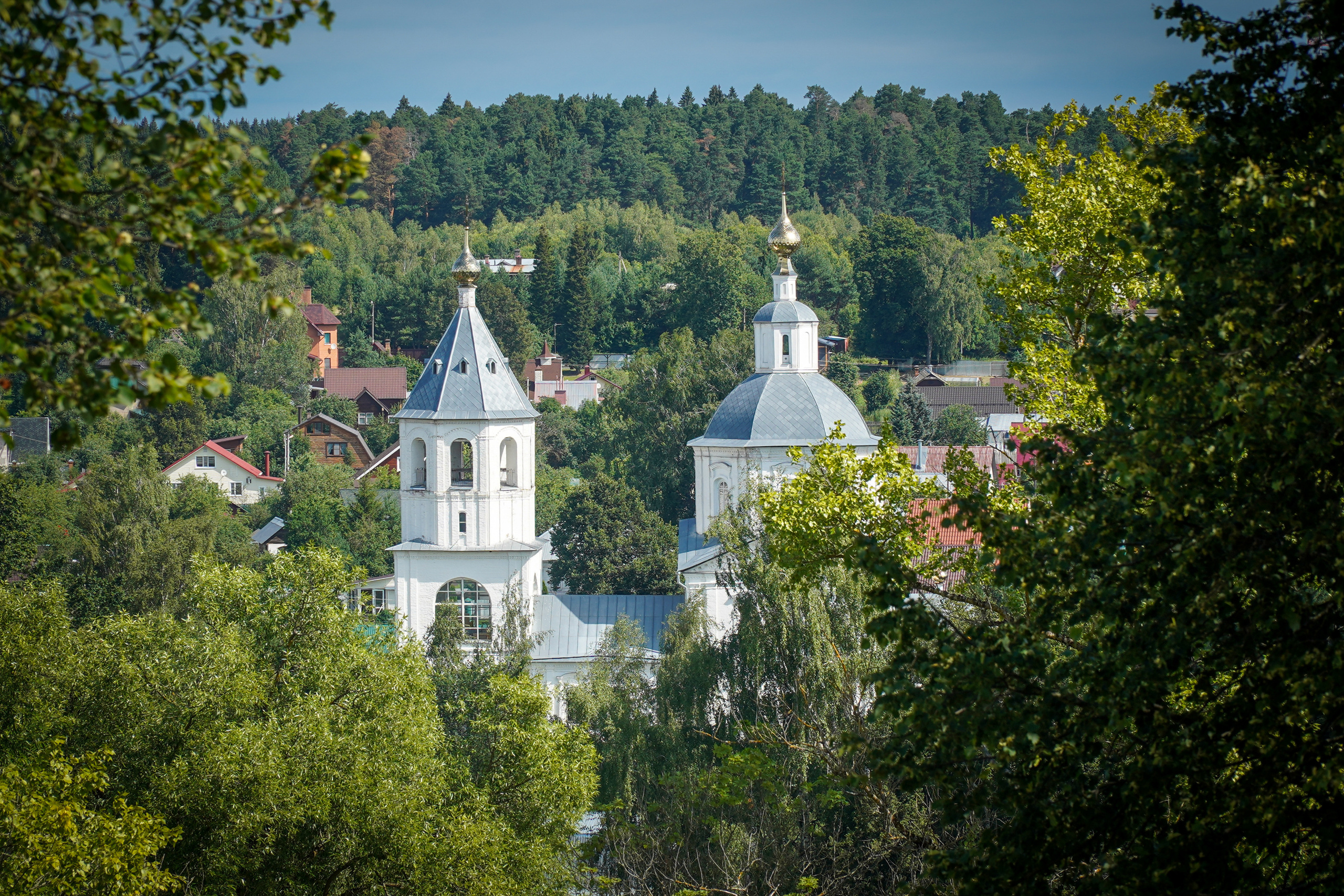 ВЕРЕЯ. Июль 2023. Фотограф Наталья Погодина в г. Обнинске