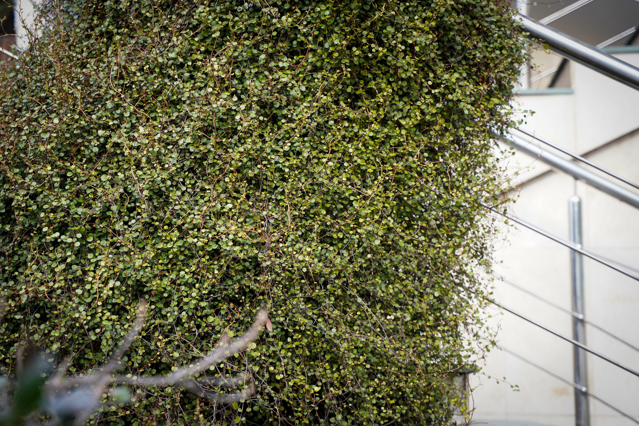 Фото Сочи 2023. Фотограф Наталья Погодина в г. Обнинске