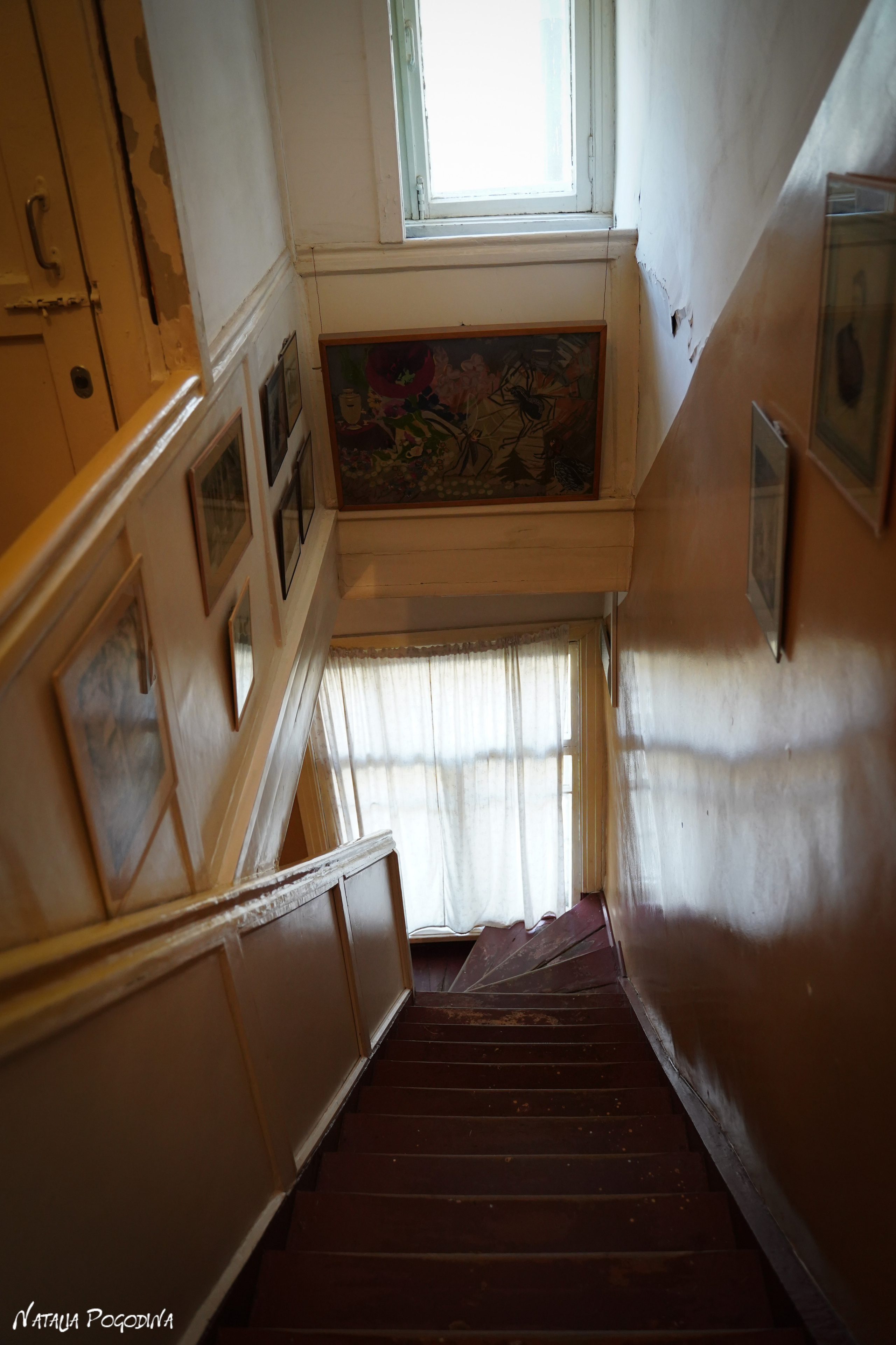 Фотопрогулка в Переделкино. Фотограф Наталья Погодина в г. Обнинске