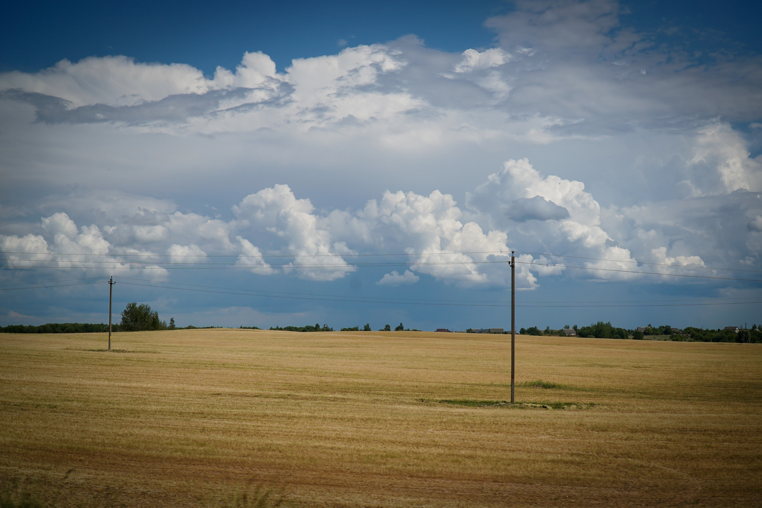 Беларусь. Июнь 2023. Поездка на 3 дня. Фотограф Наталья Погодина в г. Обнинске